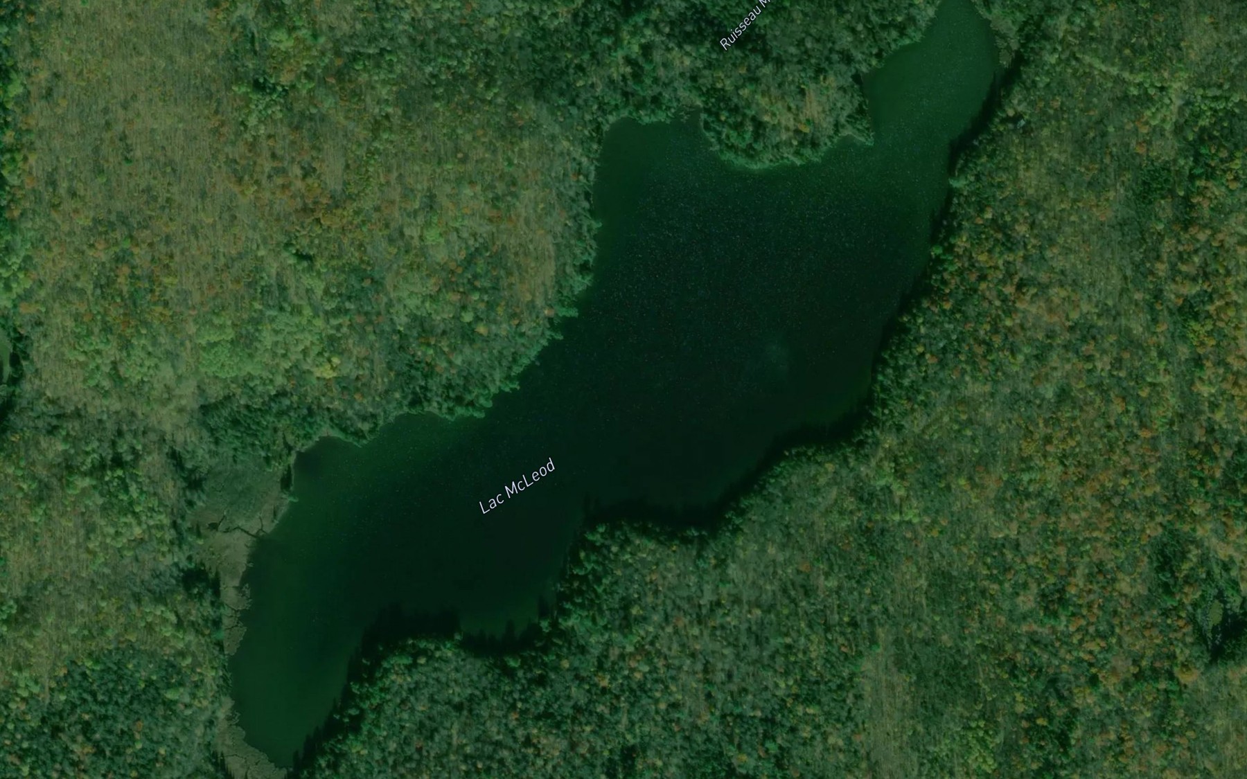 Satellite map of the Lac McLeod