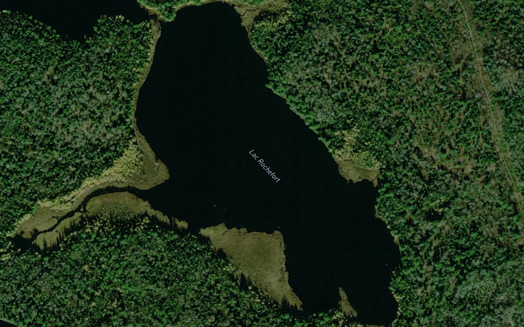 Satellite map of the Lac Rochefort