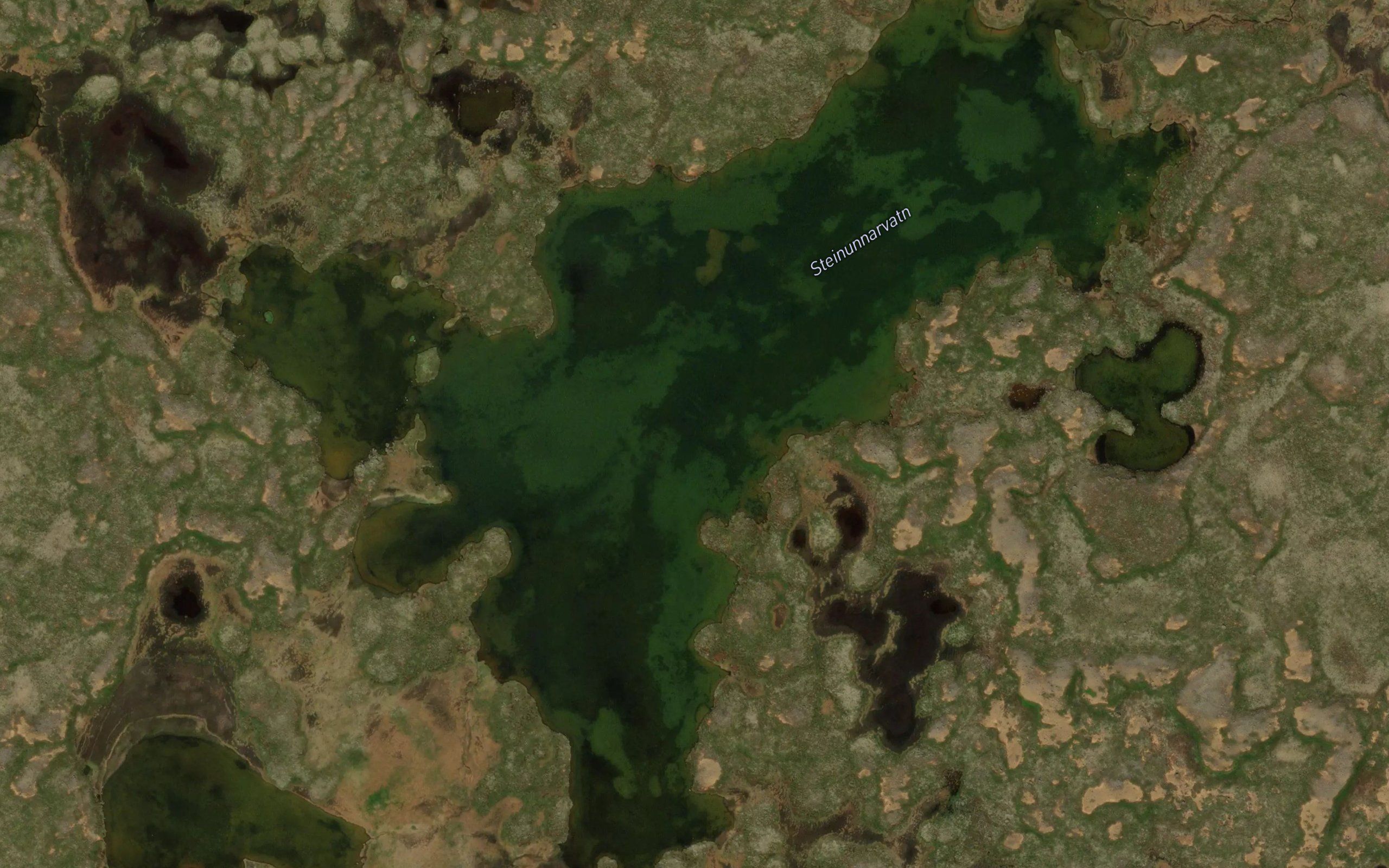 Strutsvatn