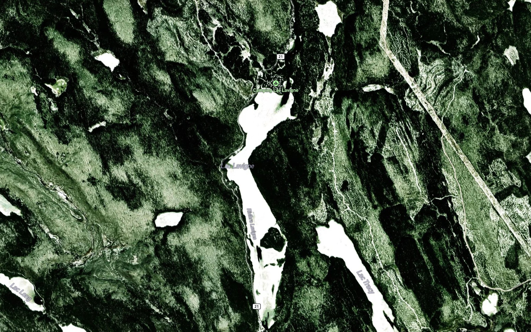 Satellite map of the Lac Lavigne