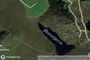 Oksnatjorna