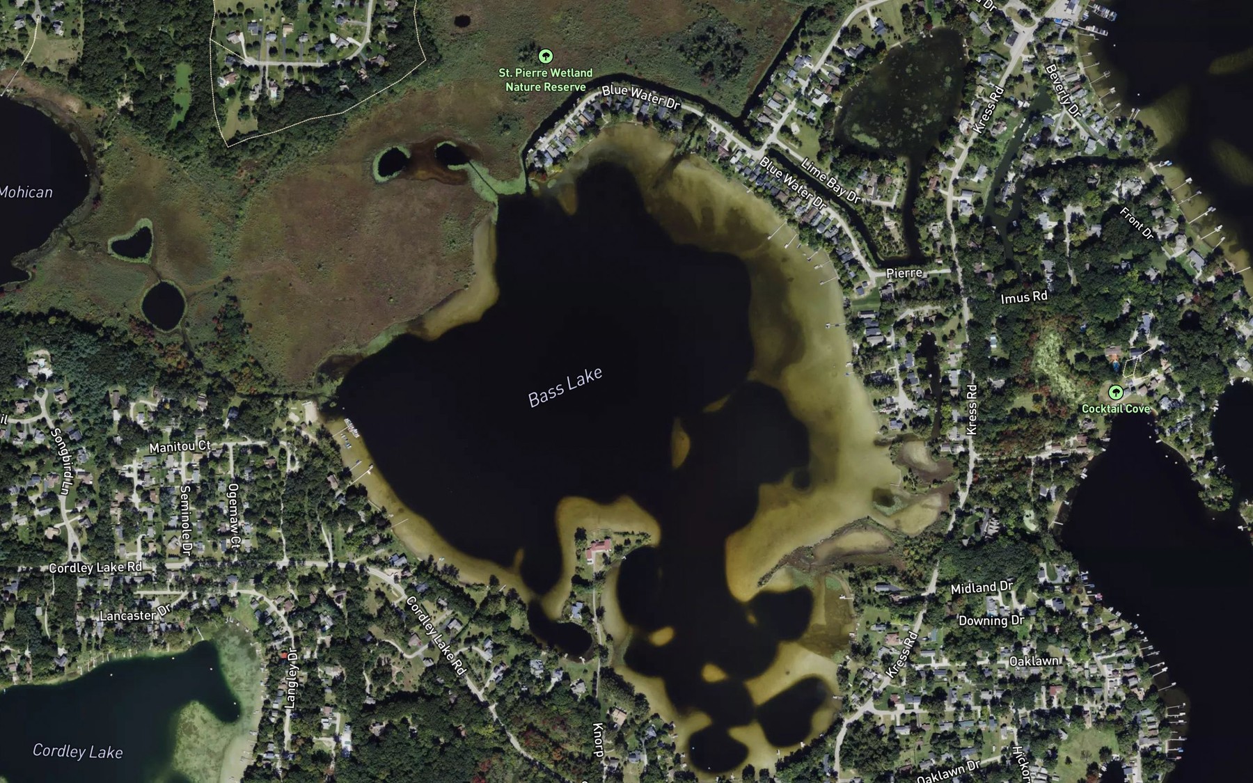Satellite map of the Bass Lake