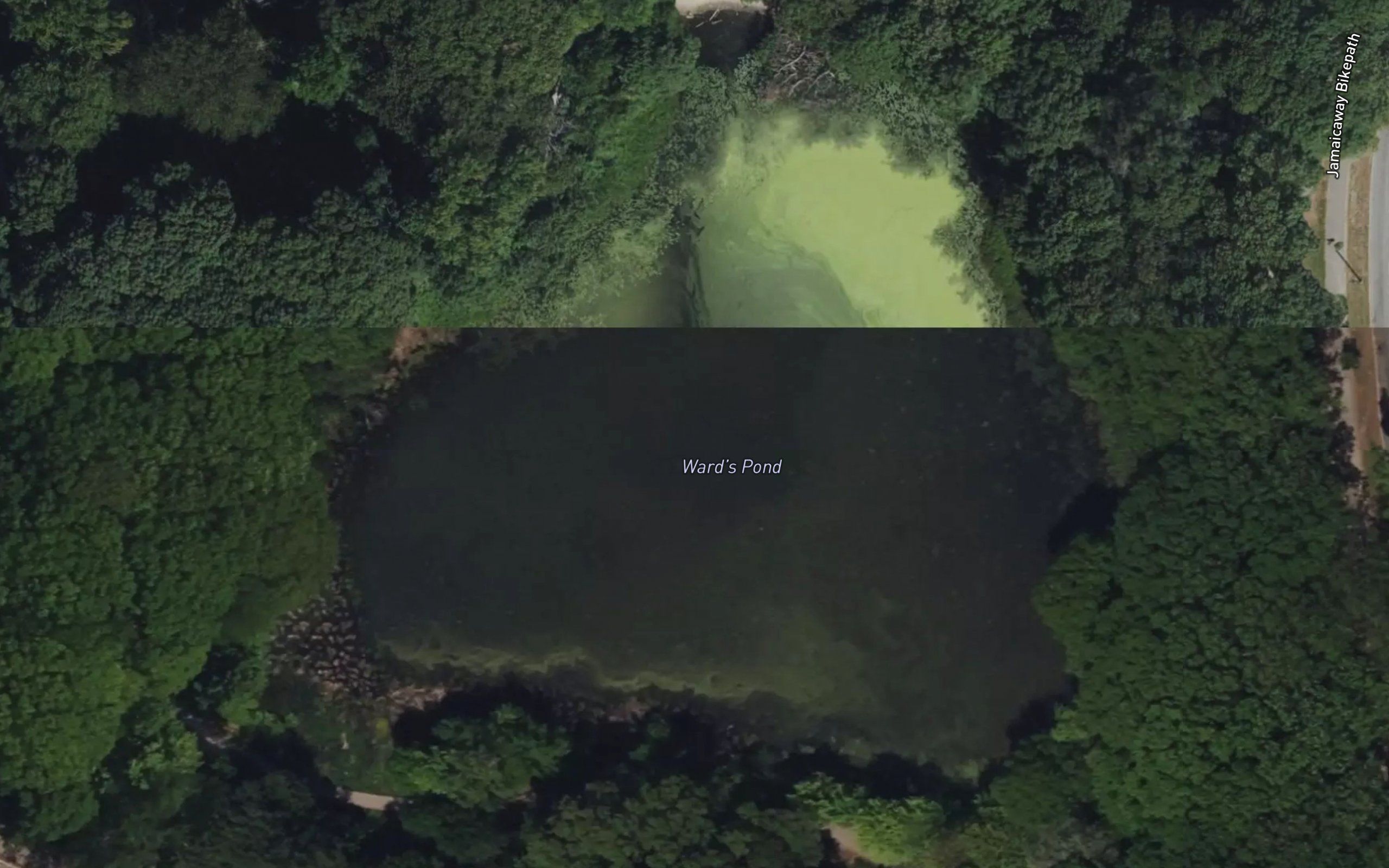 Wards Pond