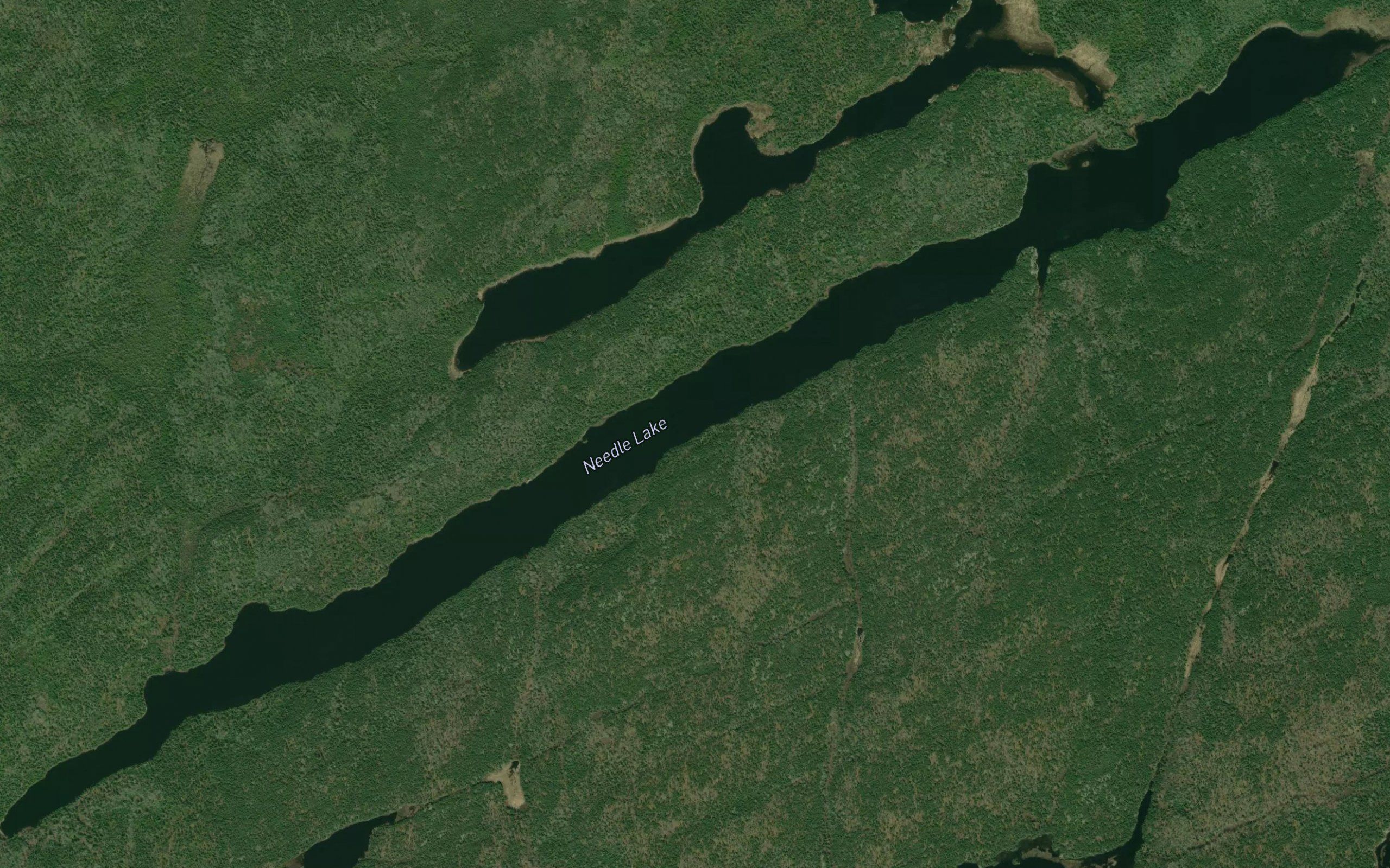 Needle Lake