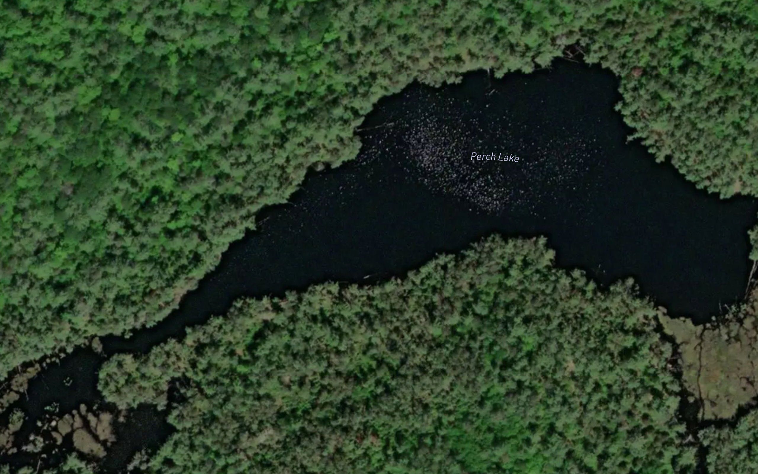 Perch Lake