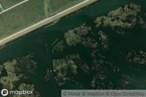 Bayou Daytoe