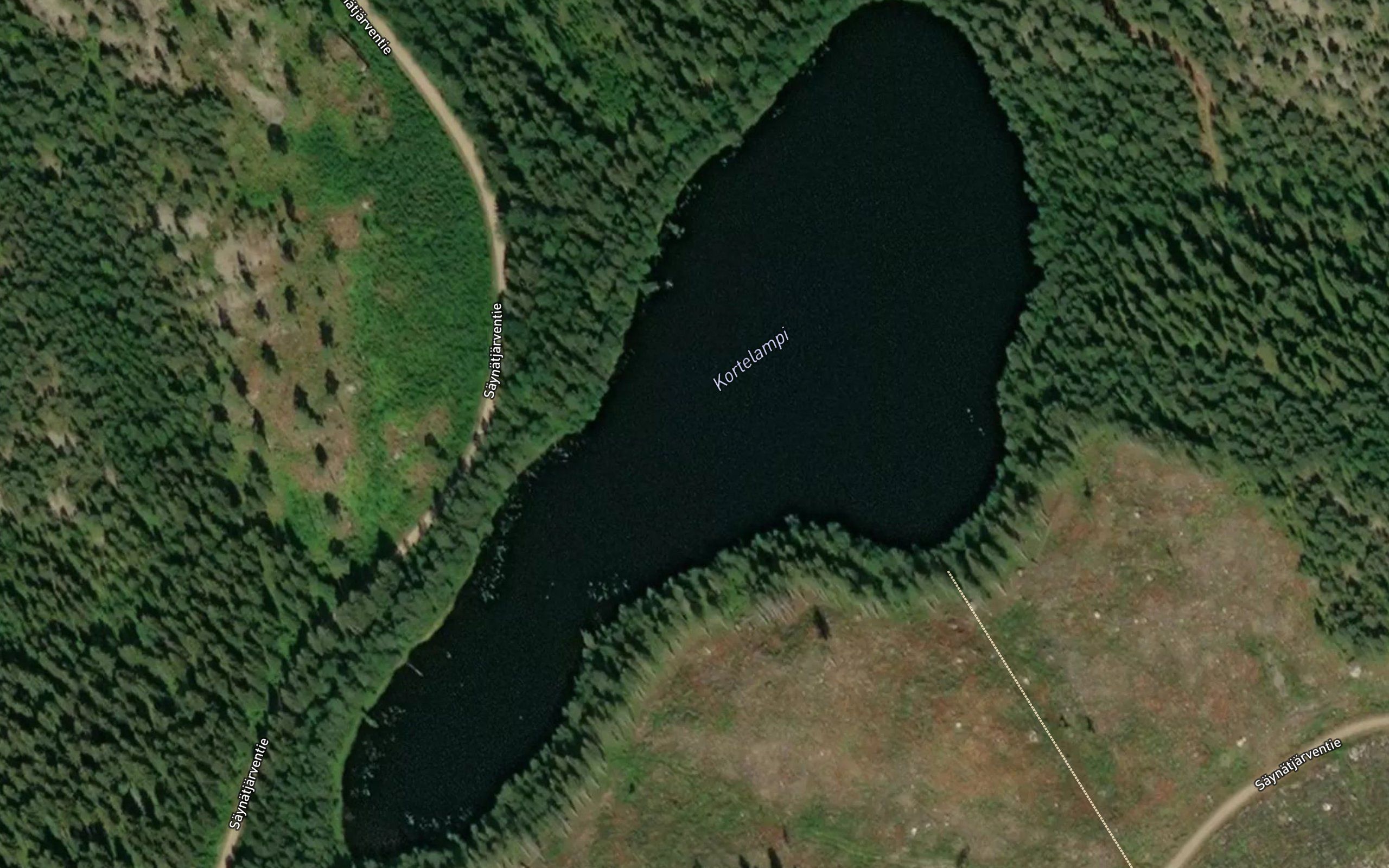 Kortelampi
