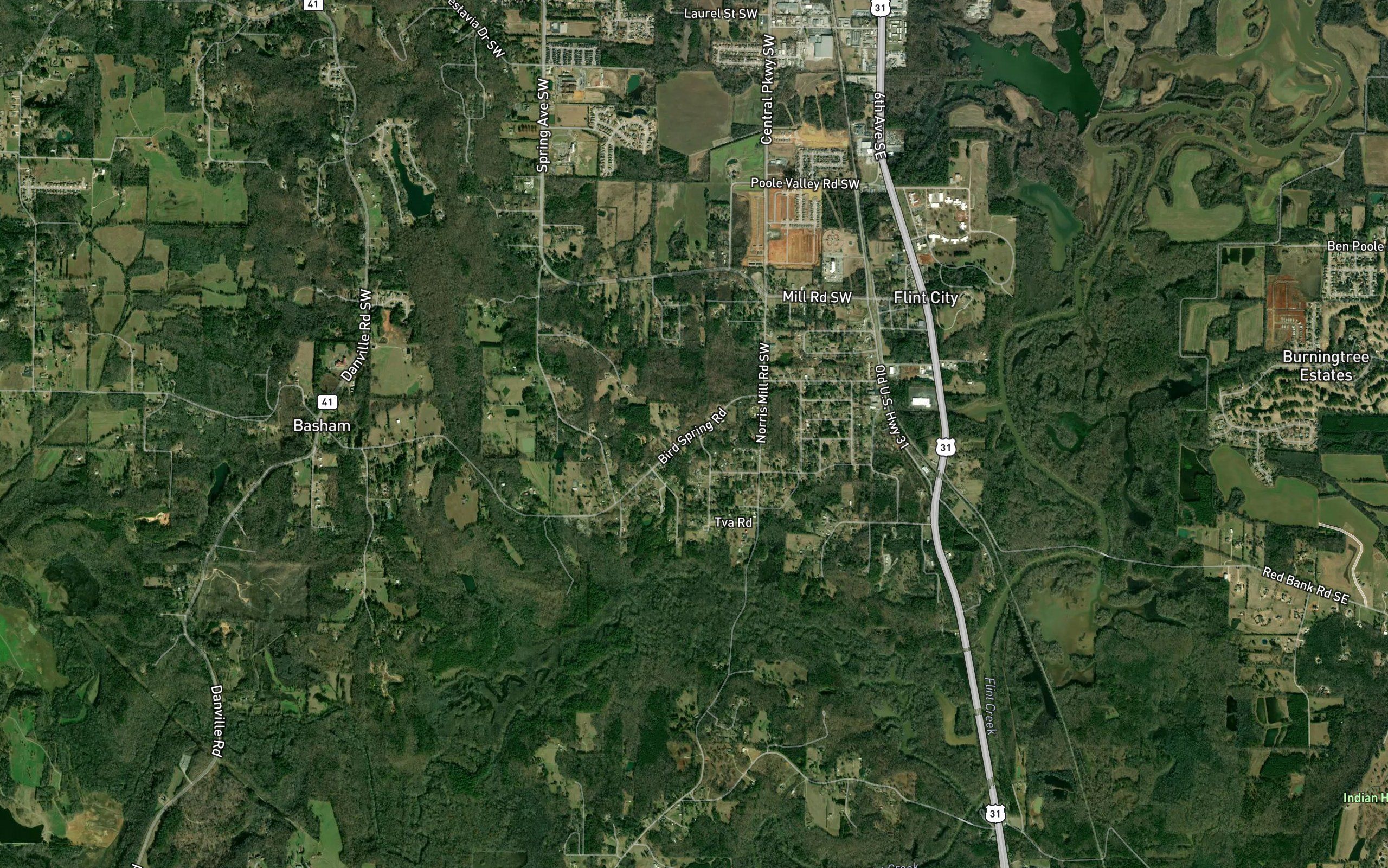 Bird Spring