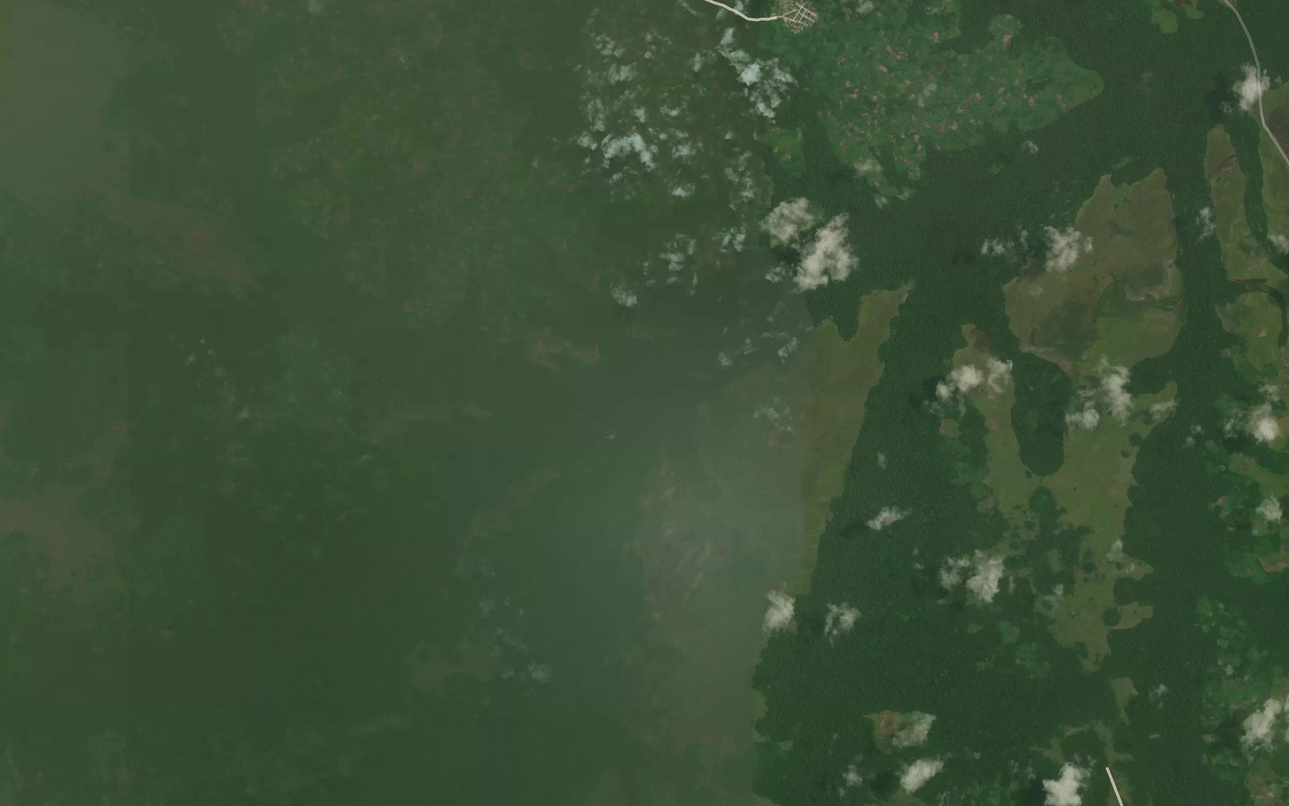 Mokau