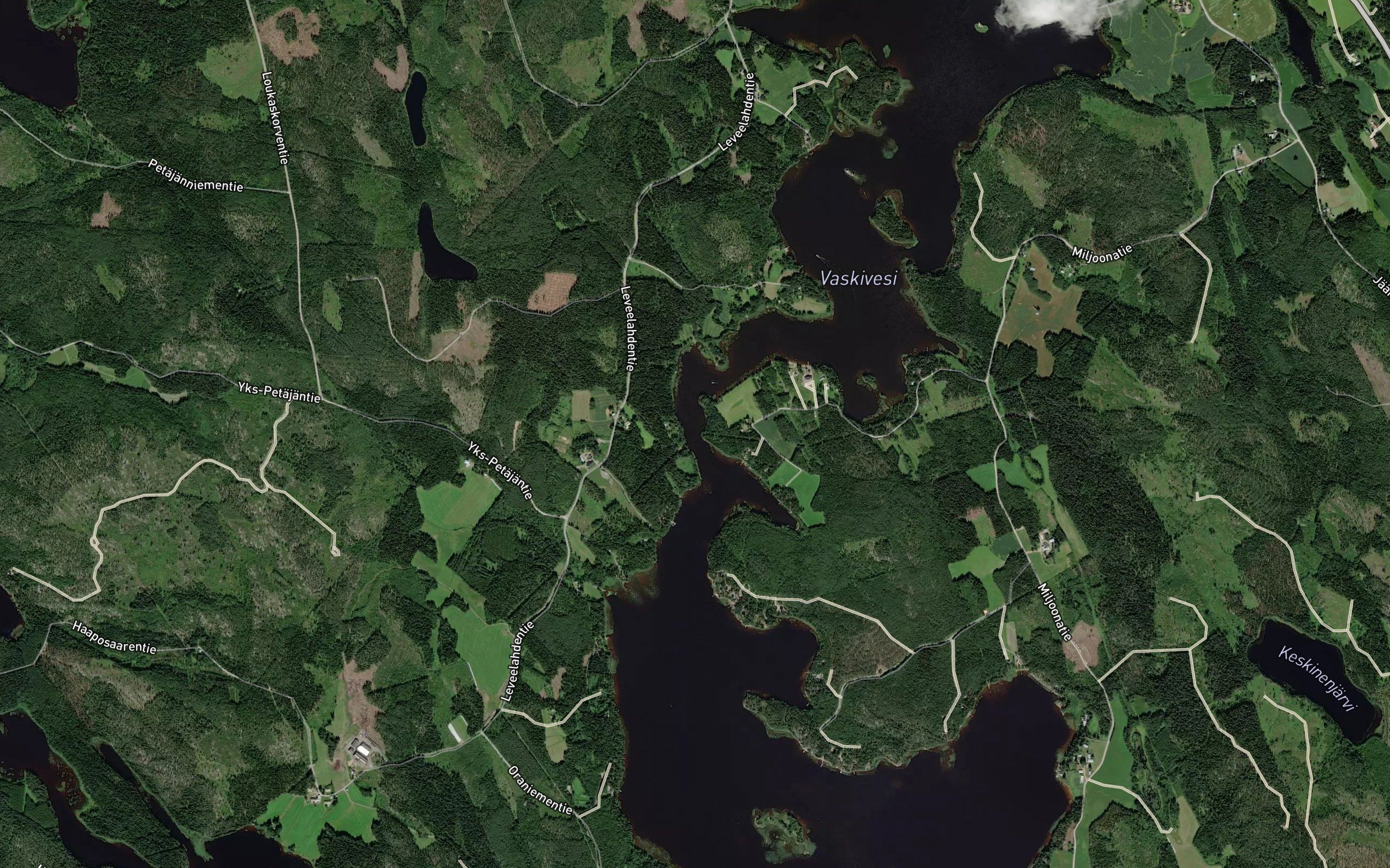 Salmensalmi