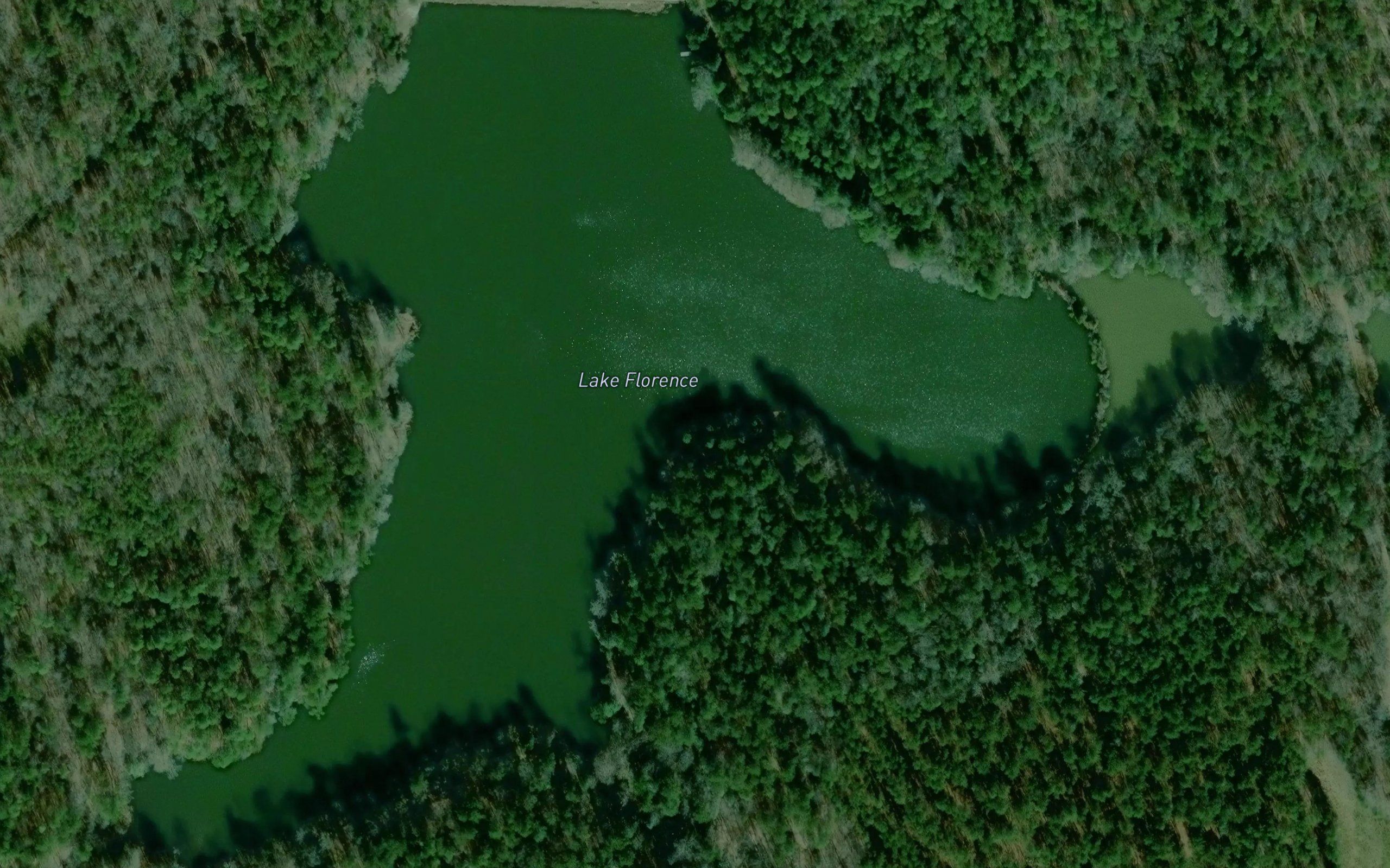 Lake Florence