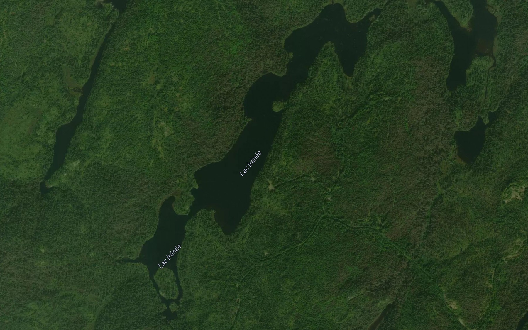 Satellite map of the Lac Irenee