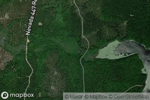 Satellite map of the Grayson Pond