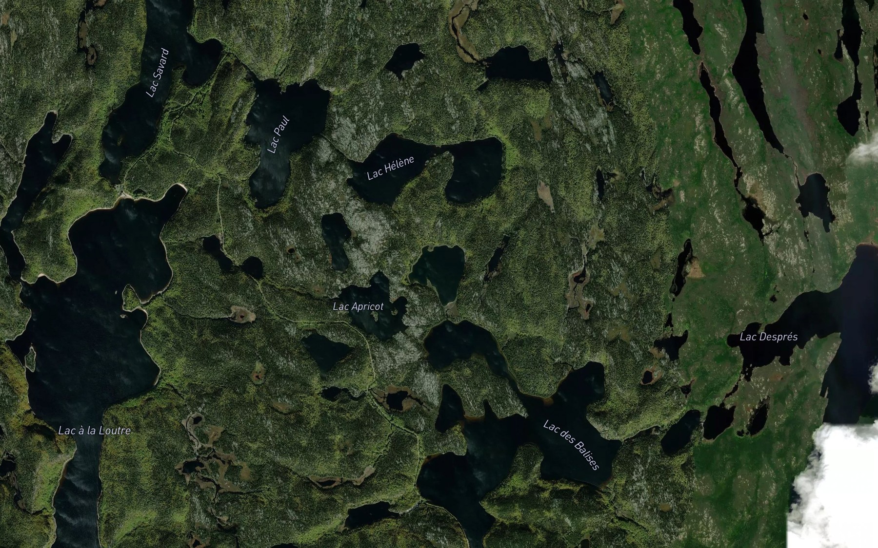 Satellite map of the Lac Arsene