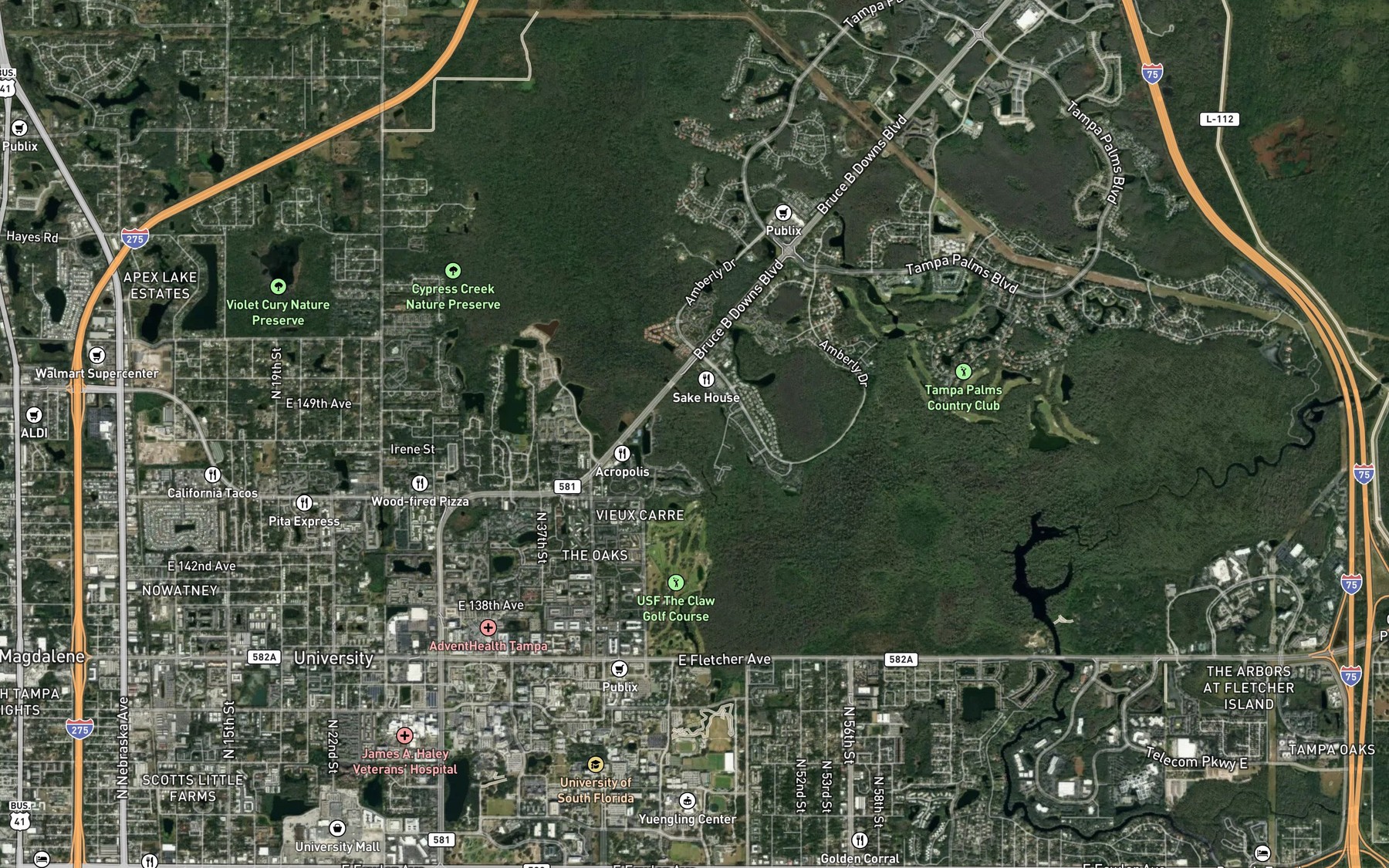 Satellite map of the Cypress Creek