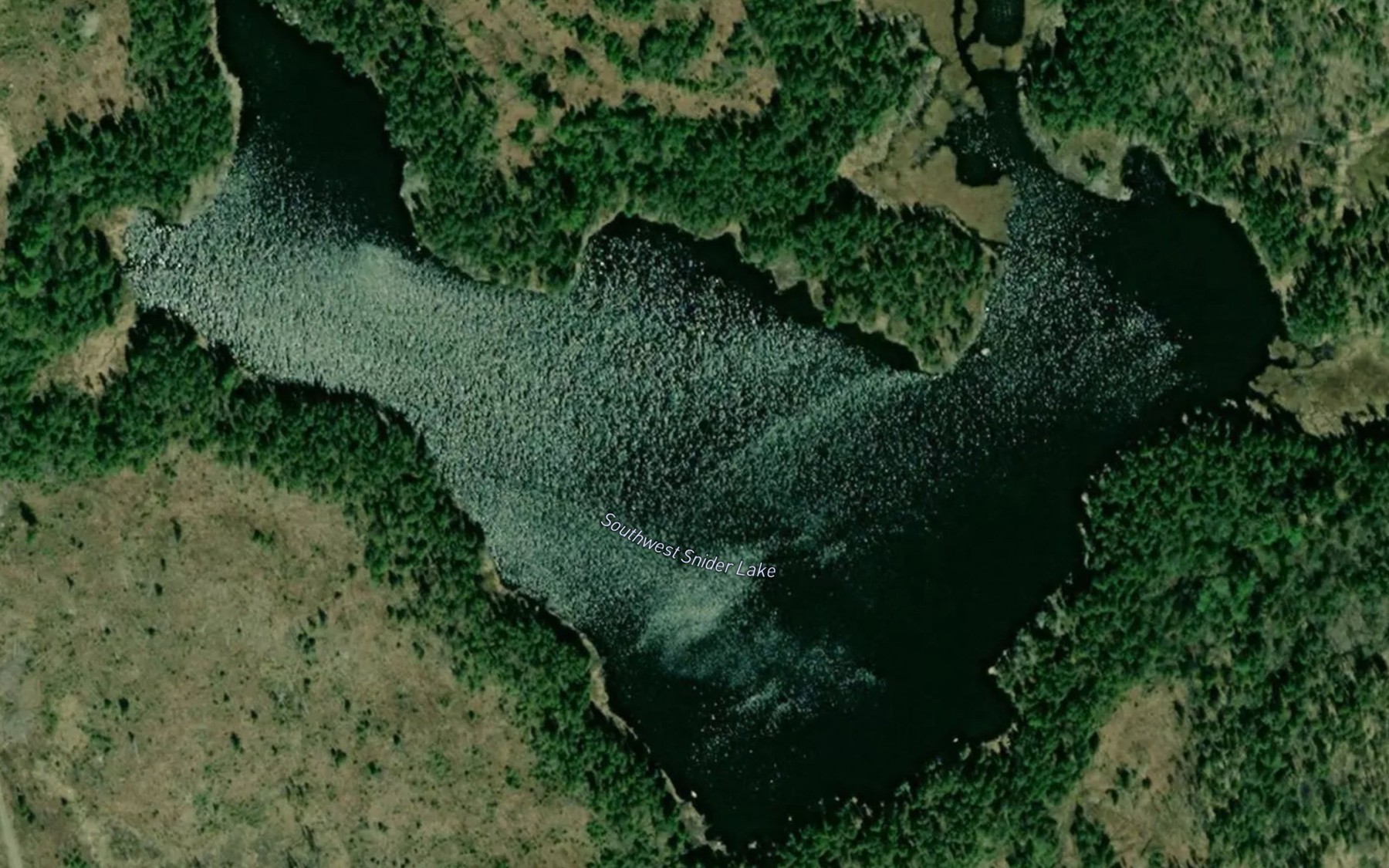 Satellite map of the Southwest Snider Lake