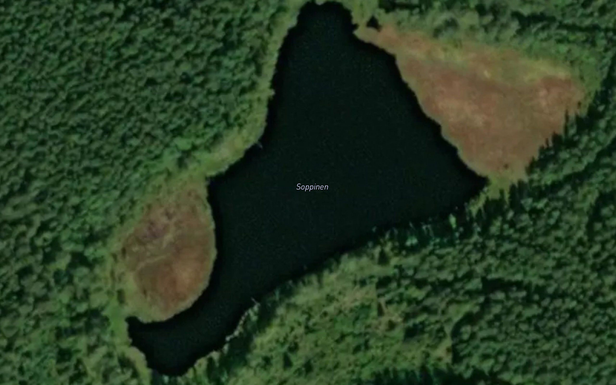 Soppinen