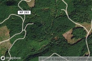 South Fork Simpson Creek