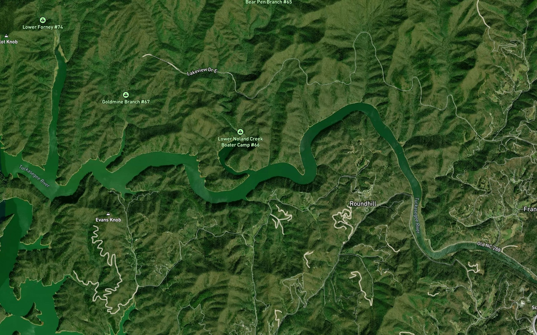 Satellite map of the Hickory Flat Branch