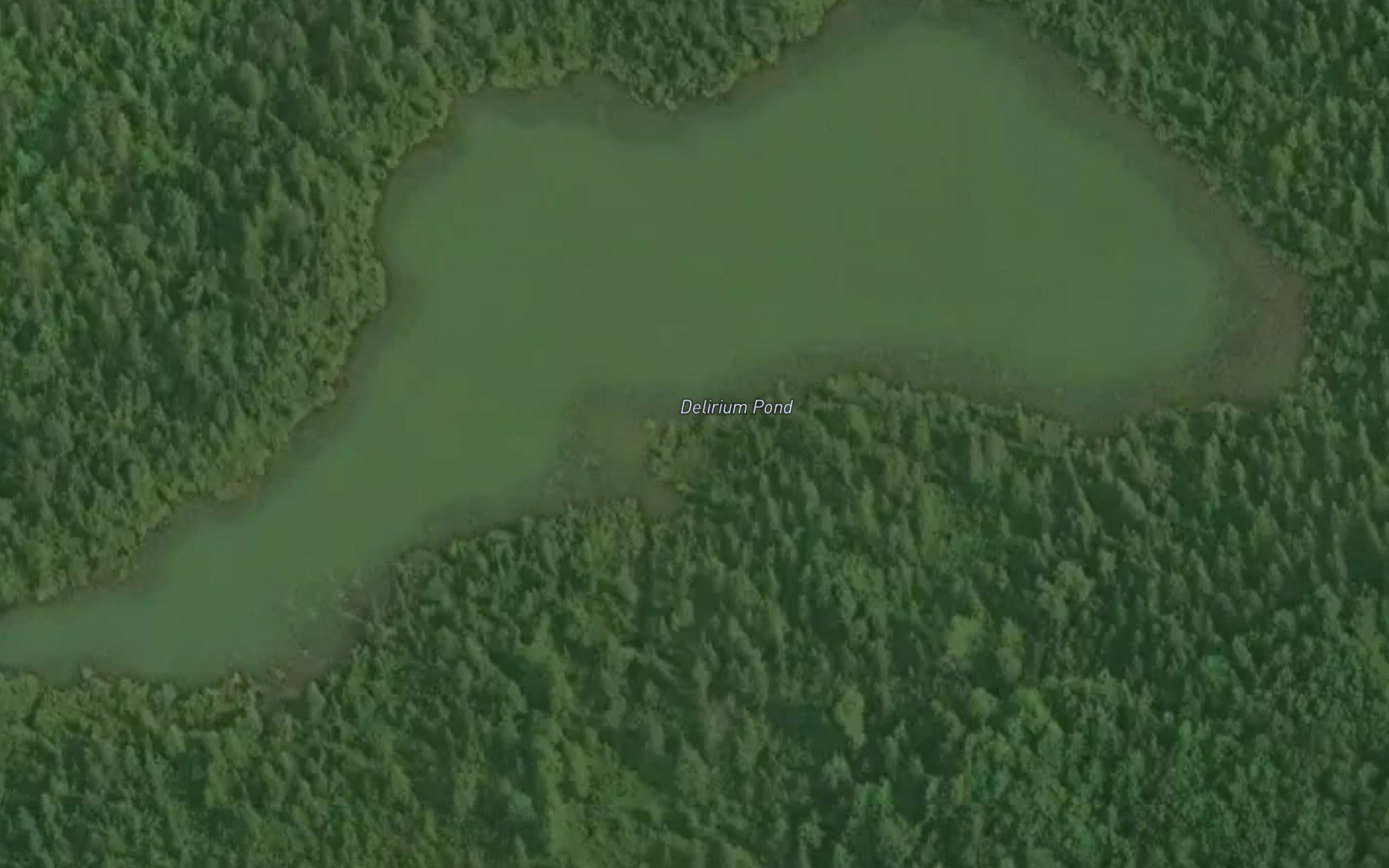Delirium Pond
