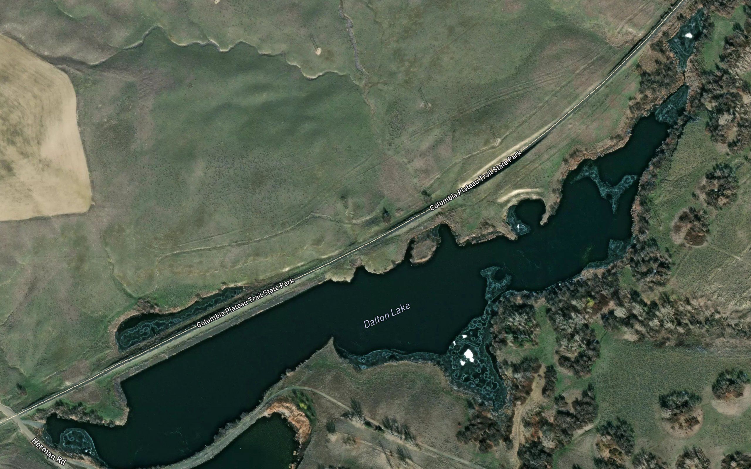 Dalton Lake