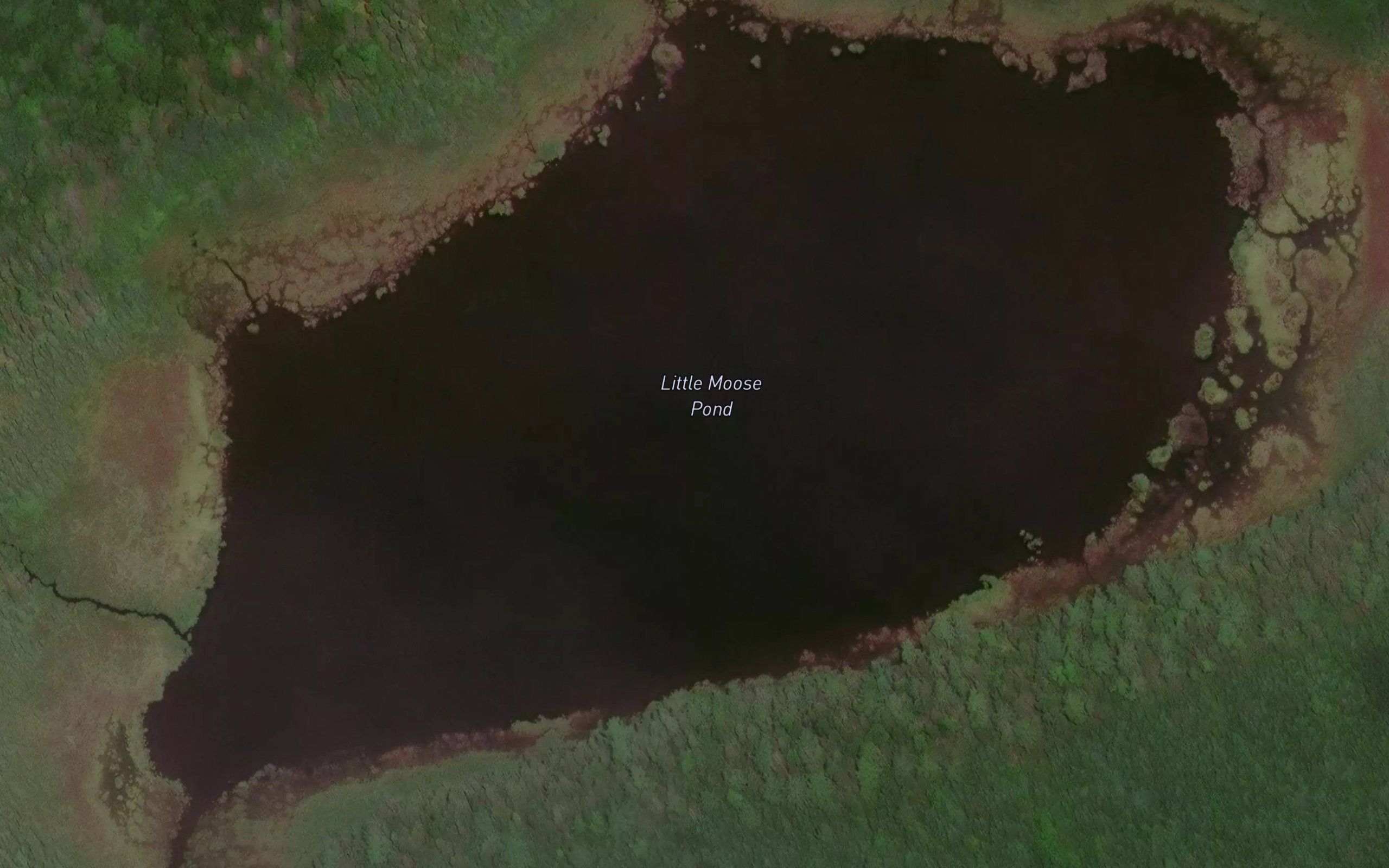 Little Moose Pond