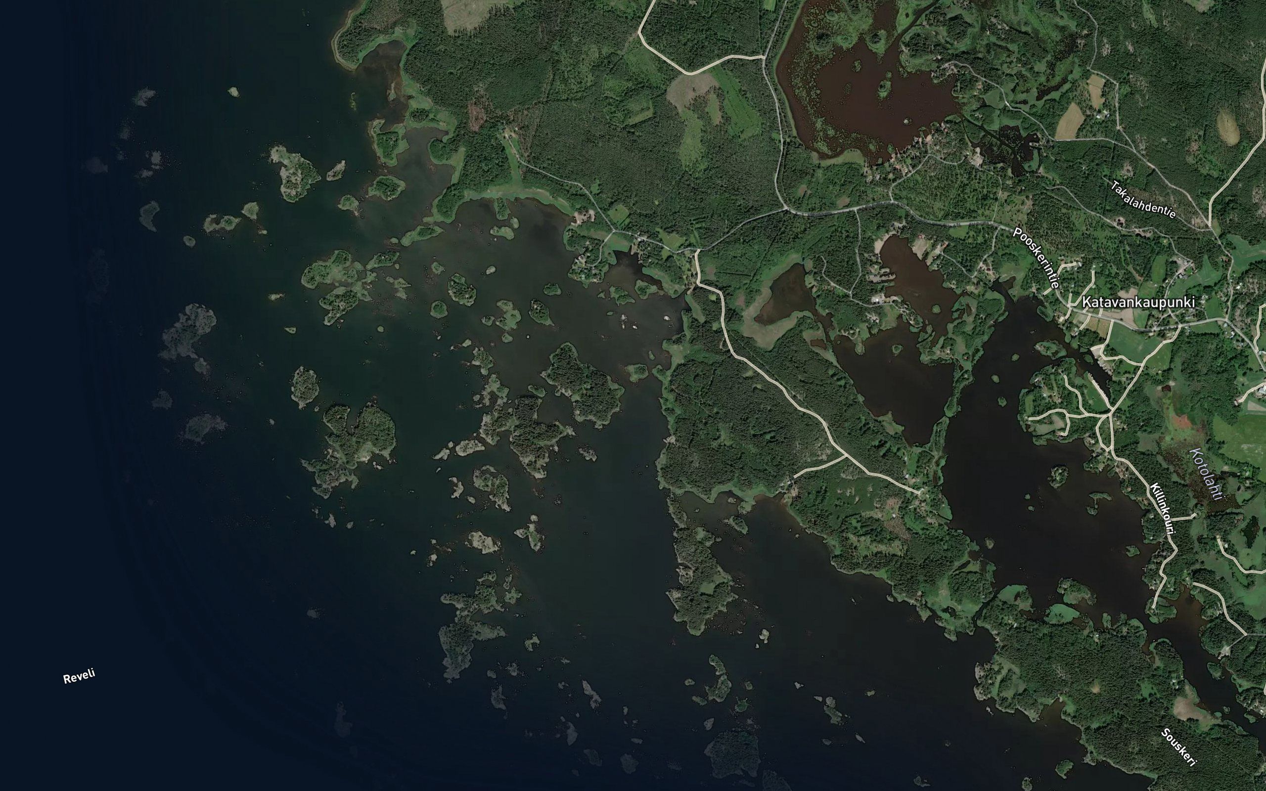 Leppaluodonsunti