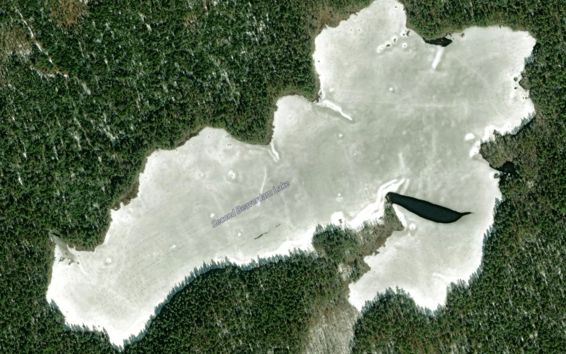 Satellite map of the Second Beaverdam Lake