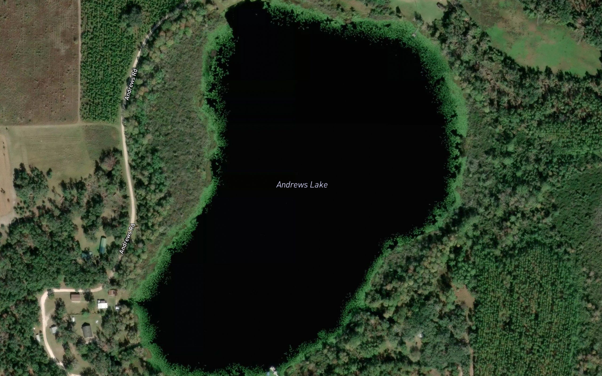 Andrews Lake