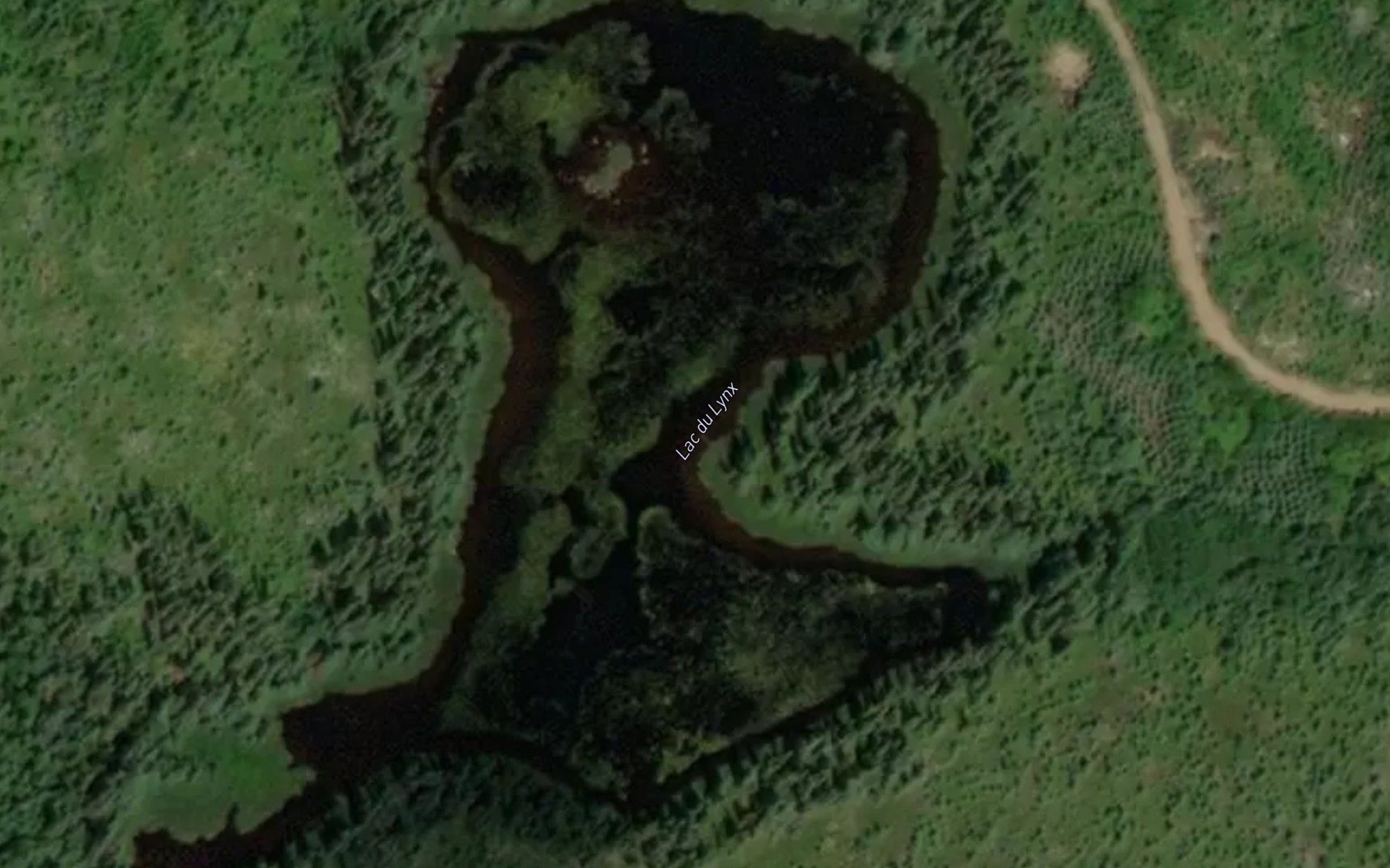Satellite map of the Lac du Lynx