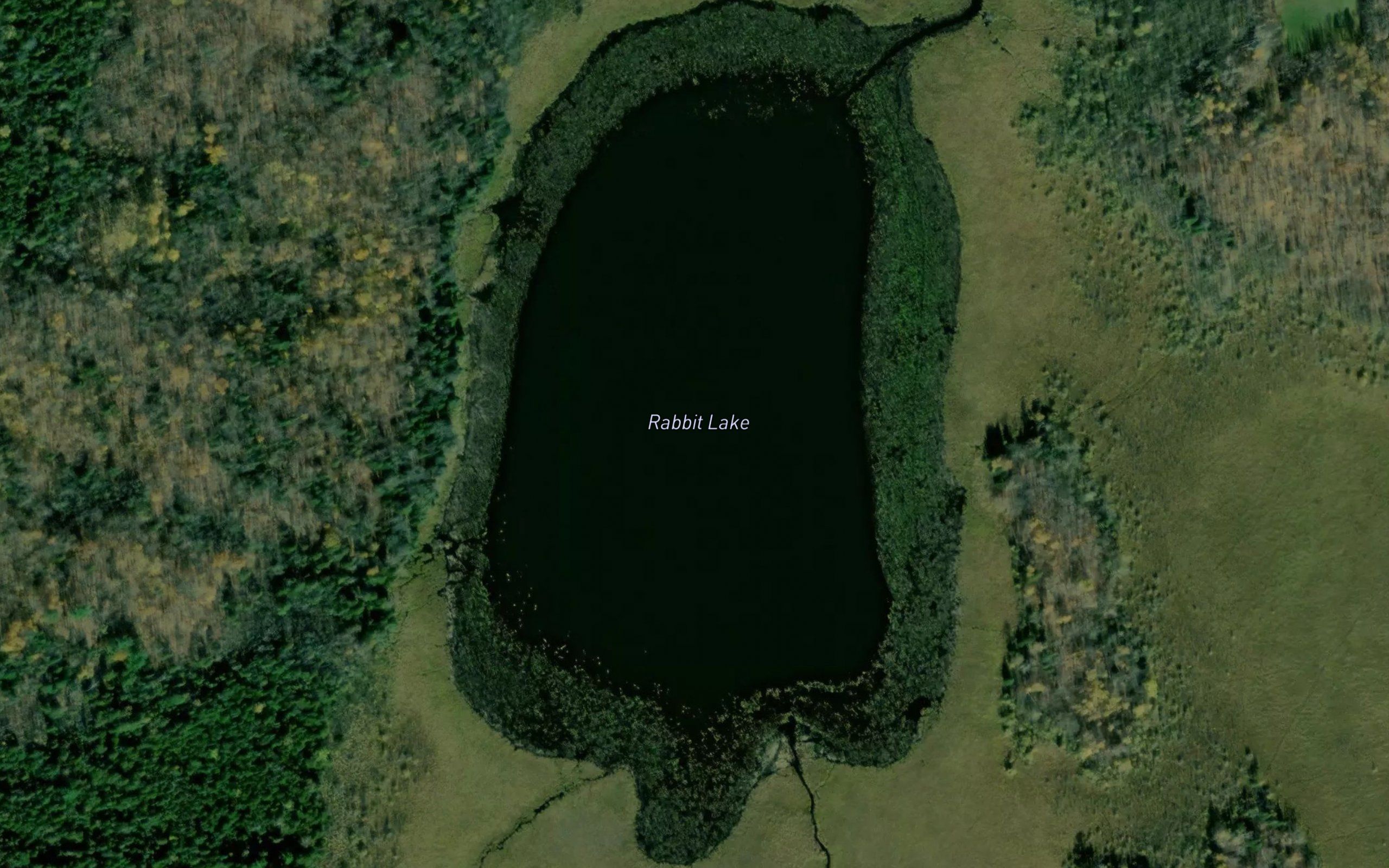 Rabbit Lake