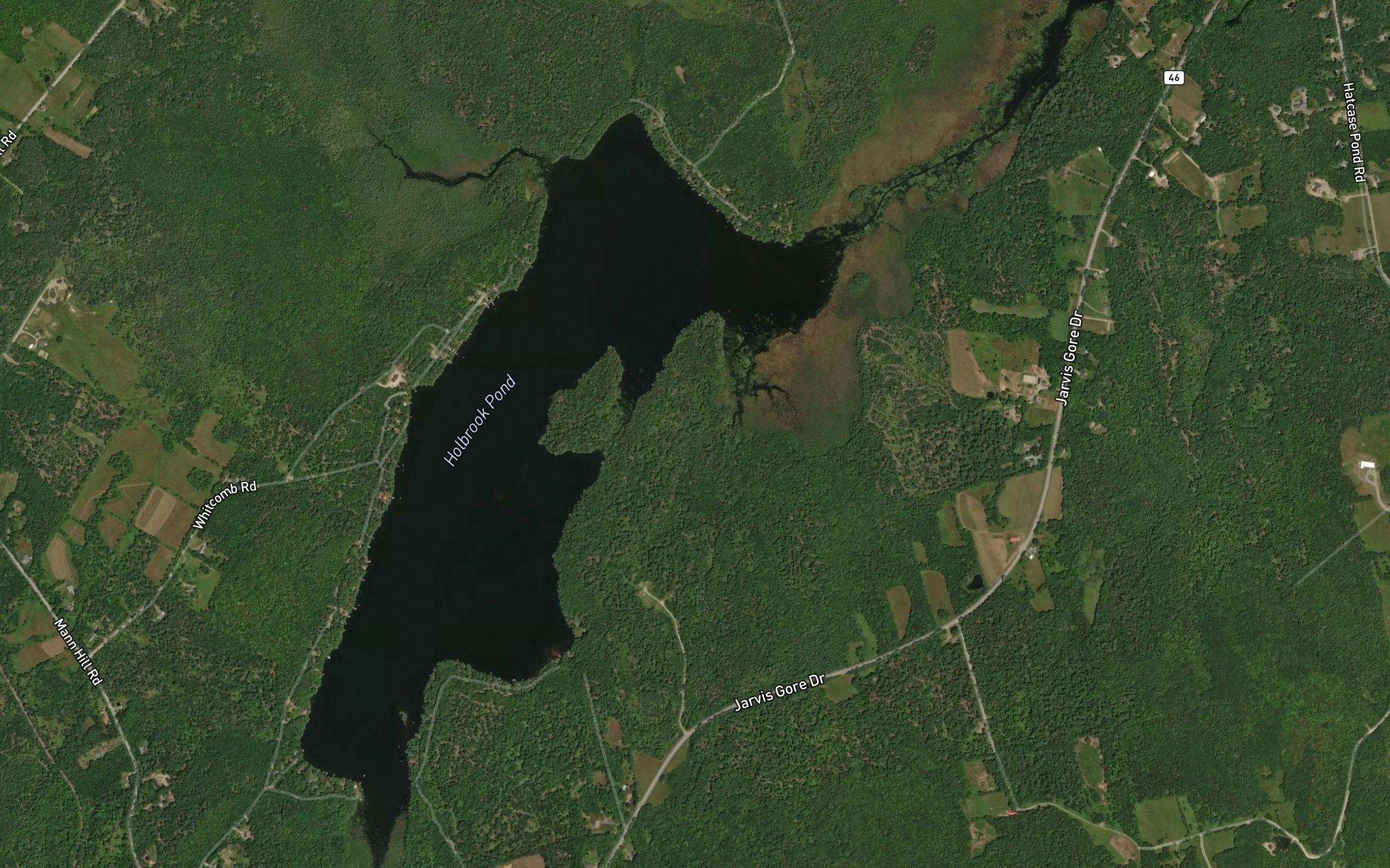 Holbrook Pond