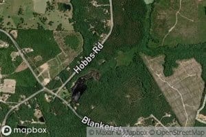 Big Branch