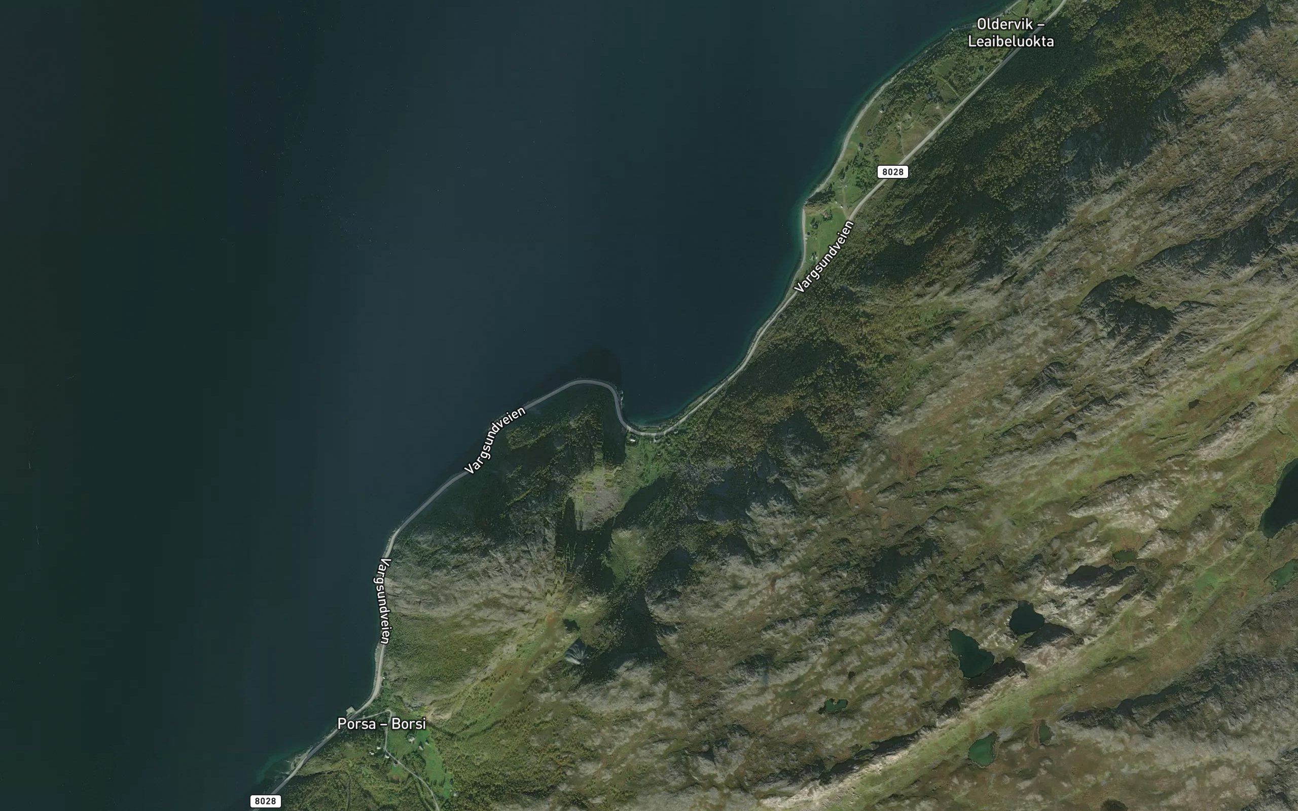 Kvenklubbukta