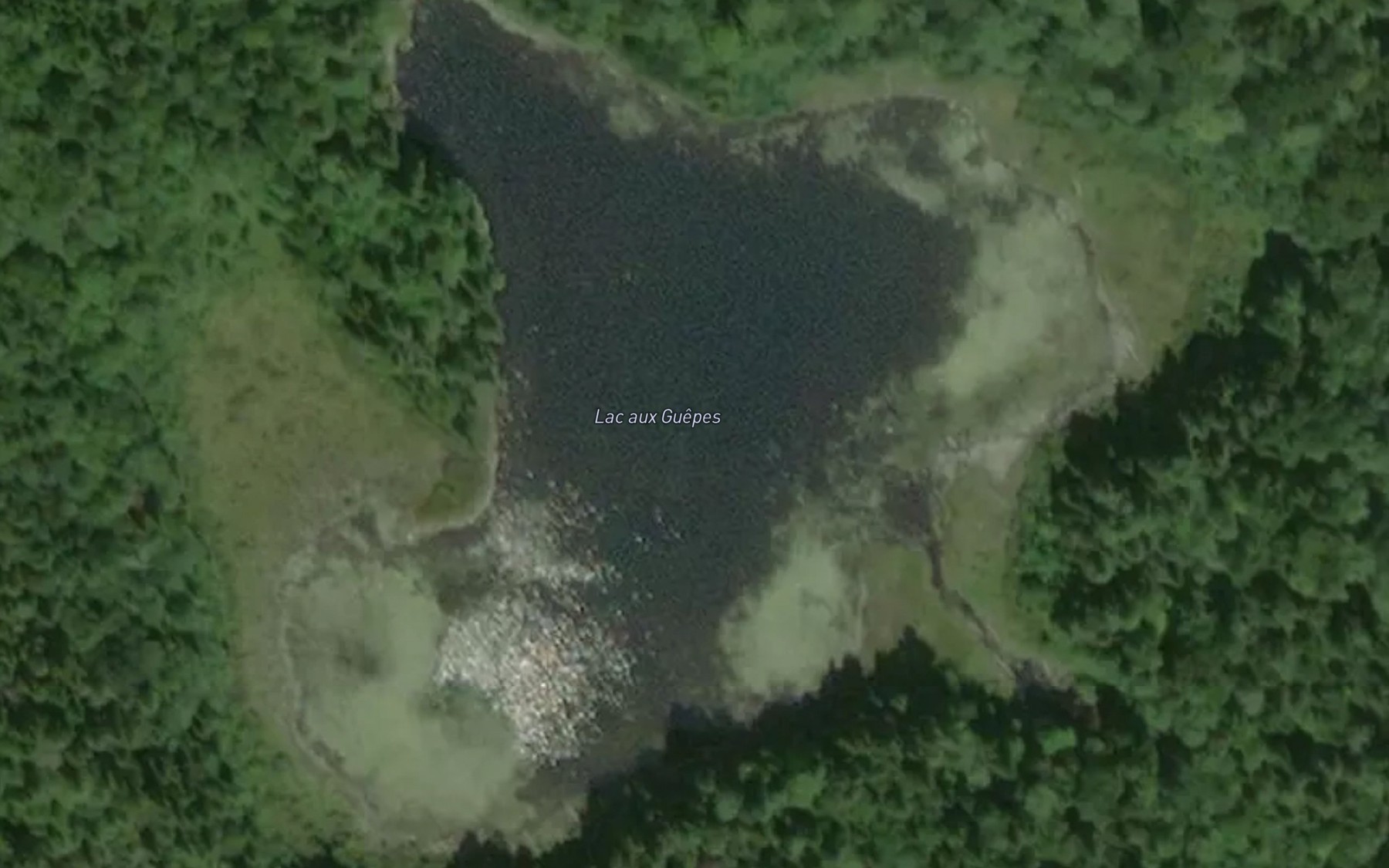 Satellite map of the Lac aux Guepes