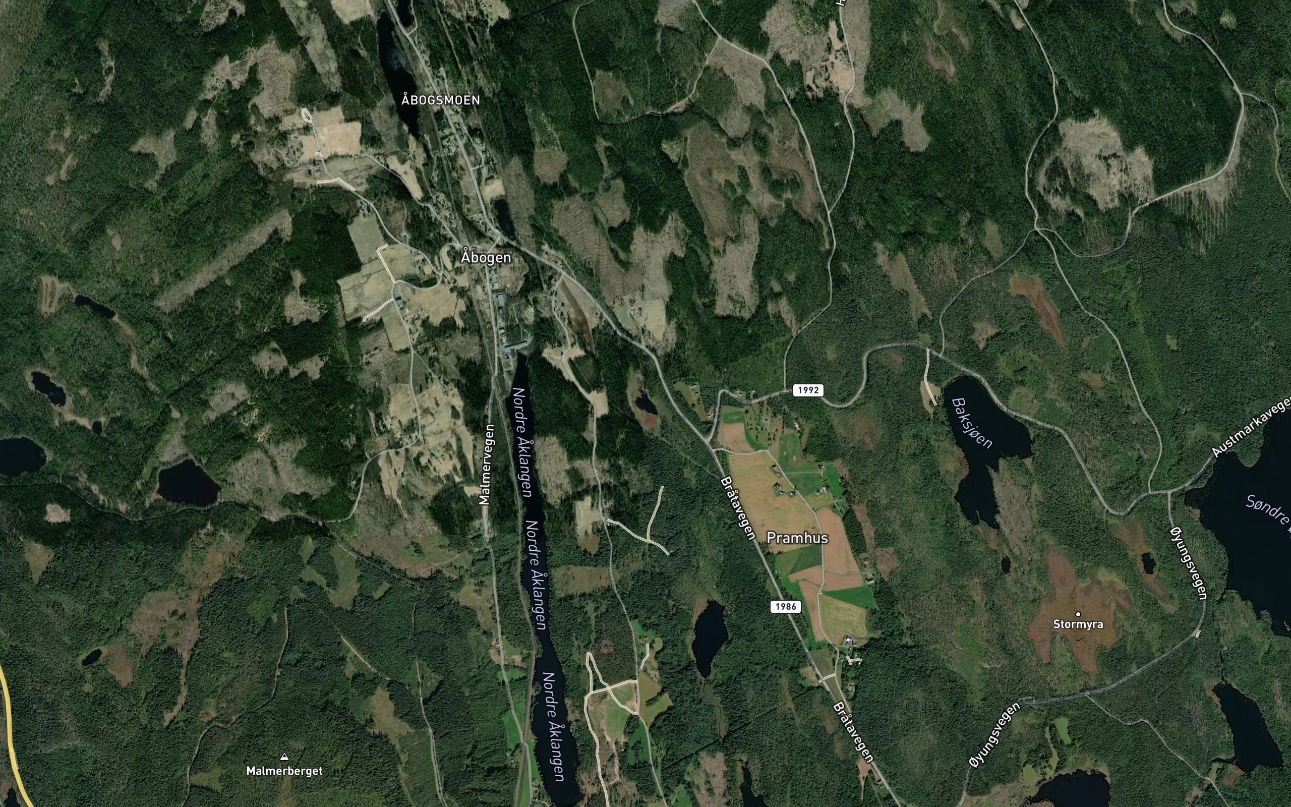 Lomtjern
