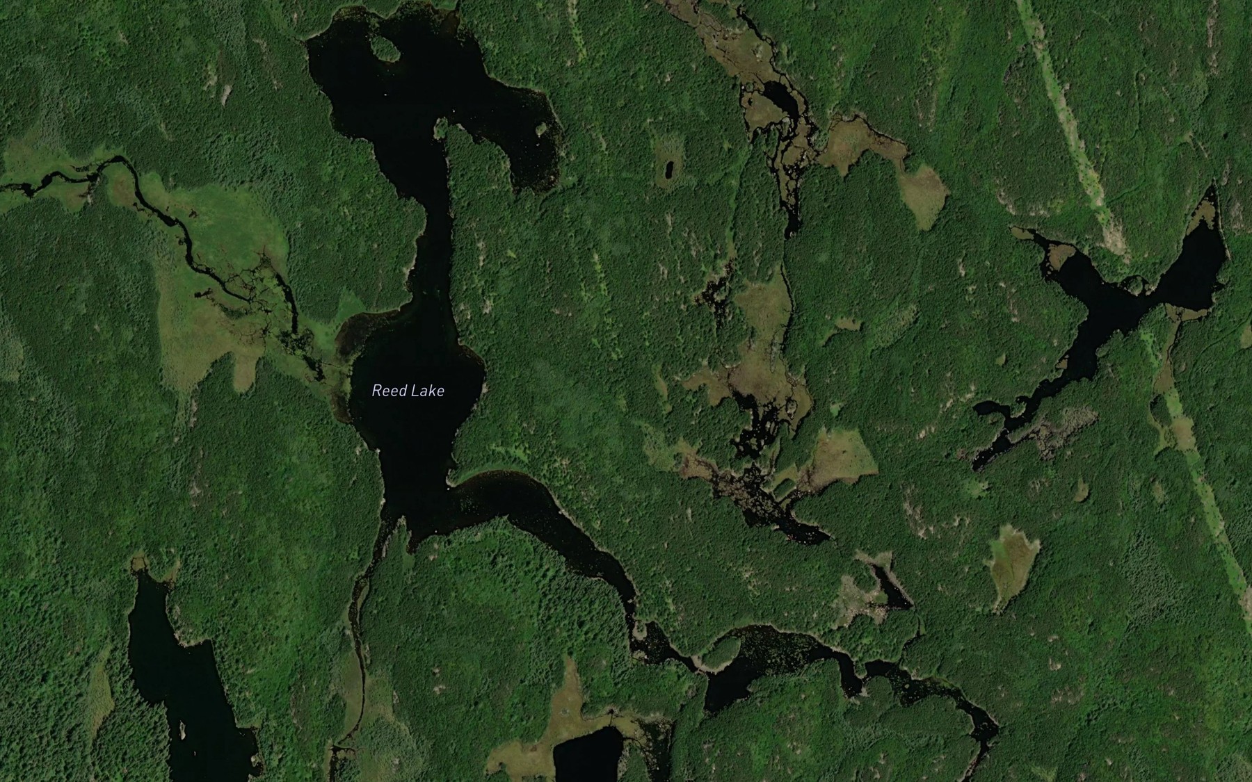 Satellite map of the Reed Lake