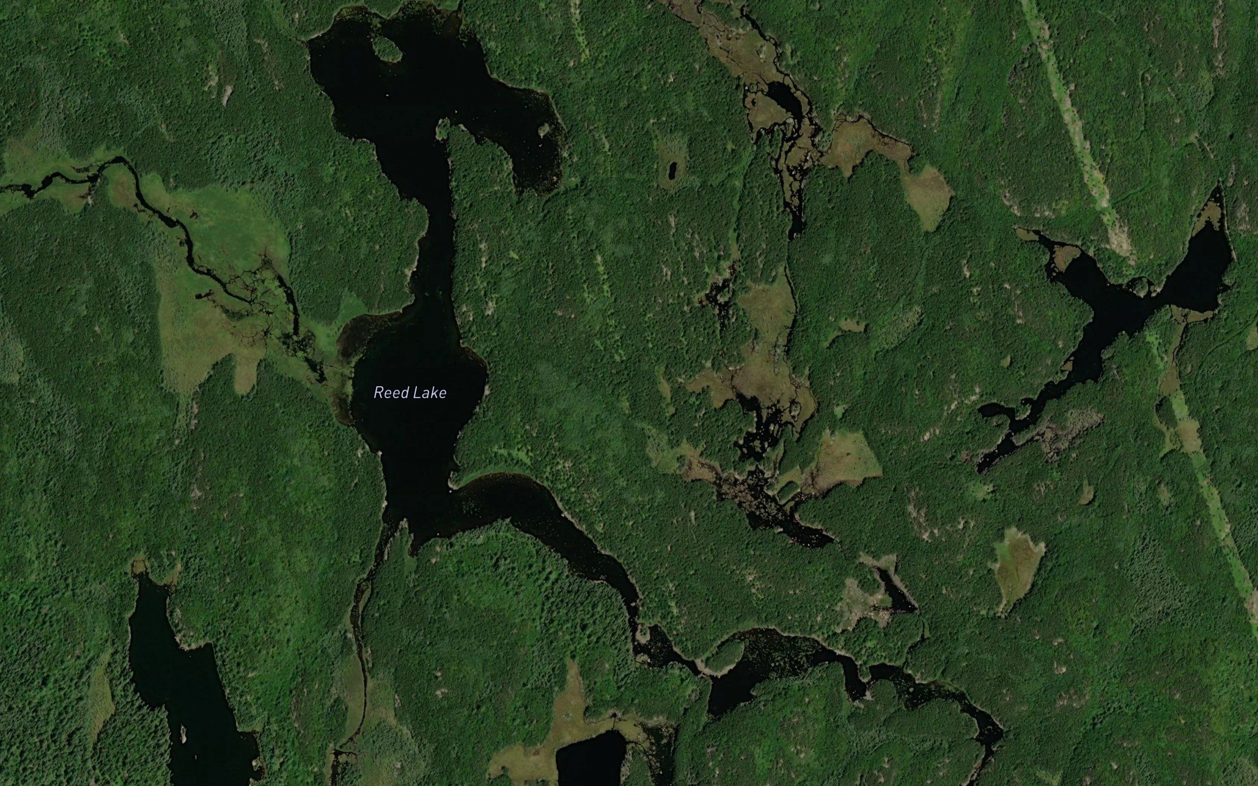 Reed Lake