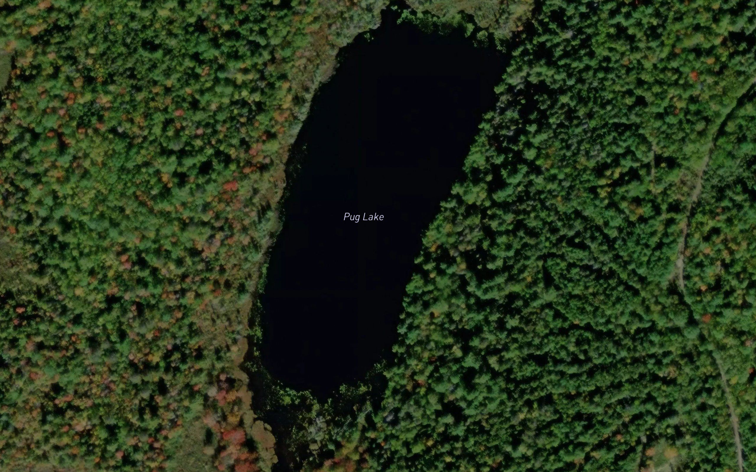 Pug Lake