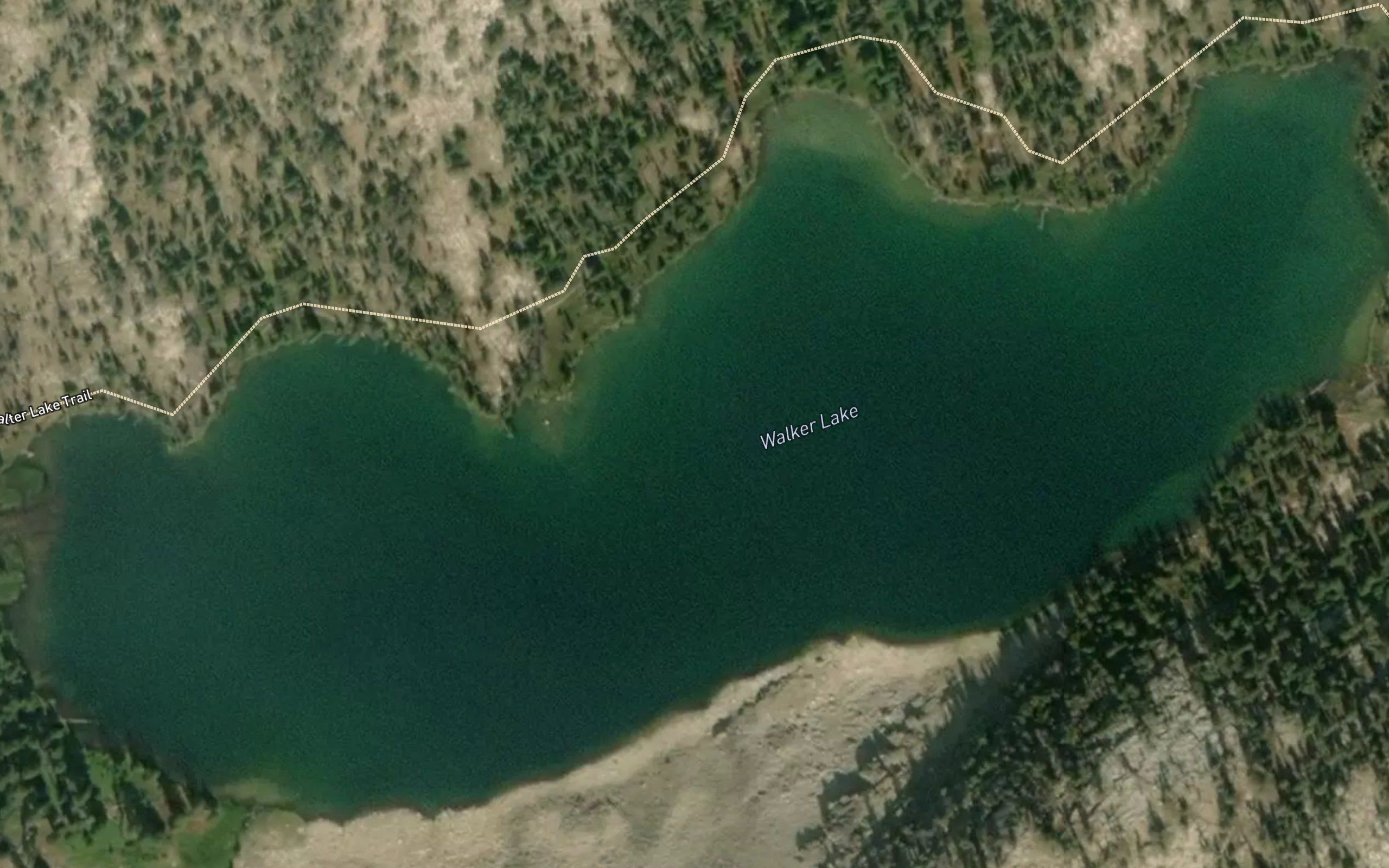Walker Lake