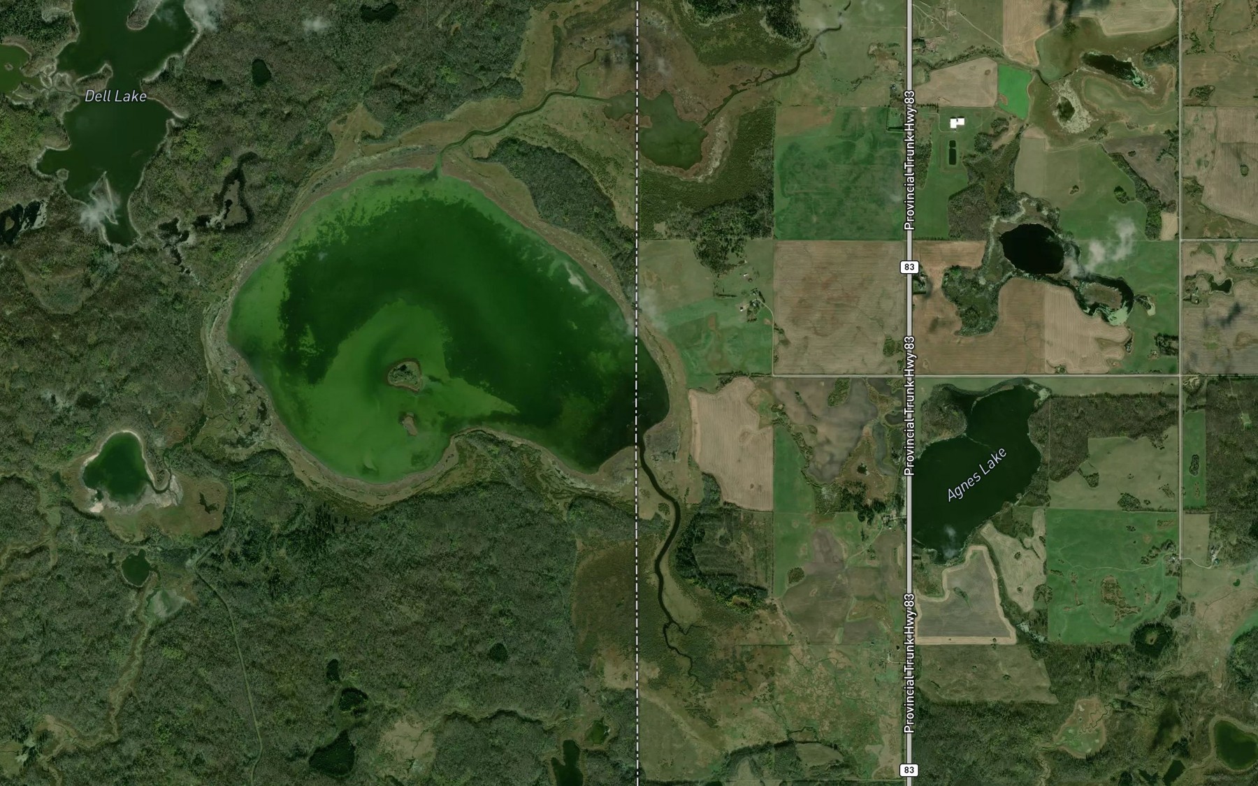 Satellite map of the Bear Head Lake