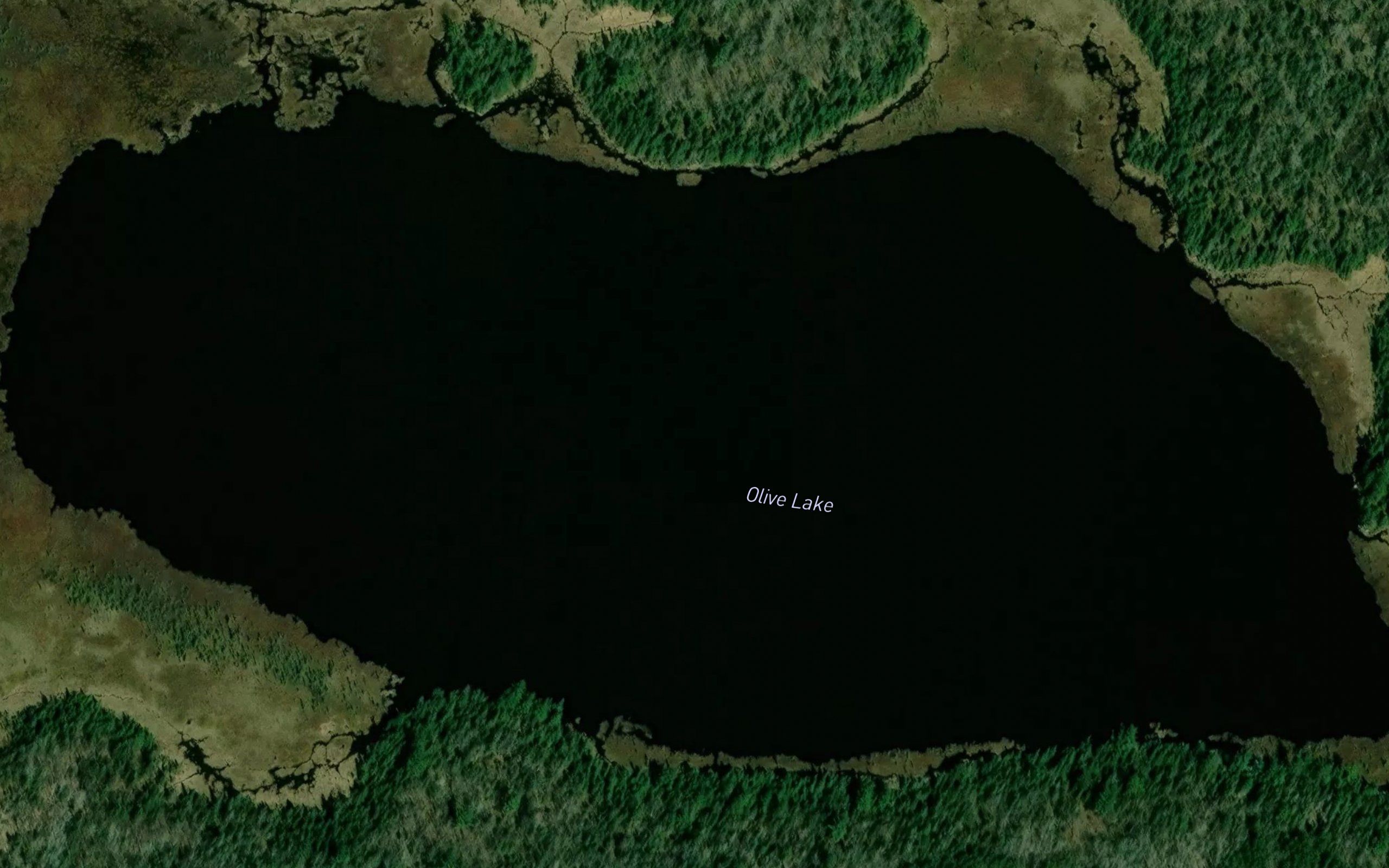 Olive Lake