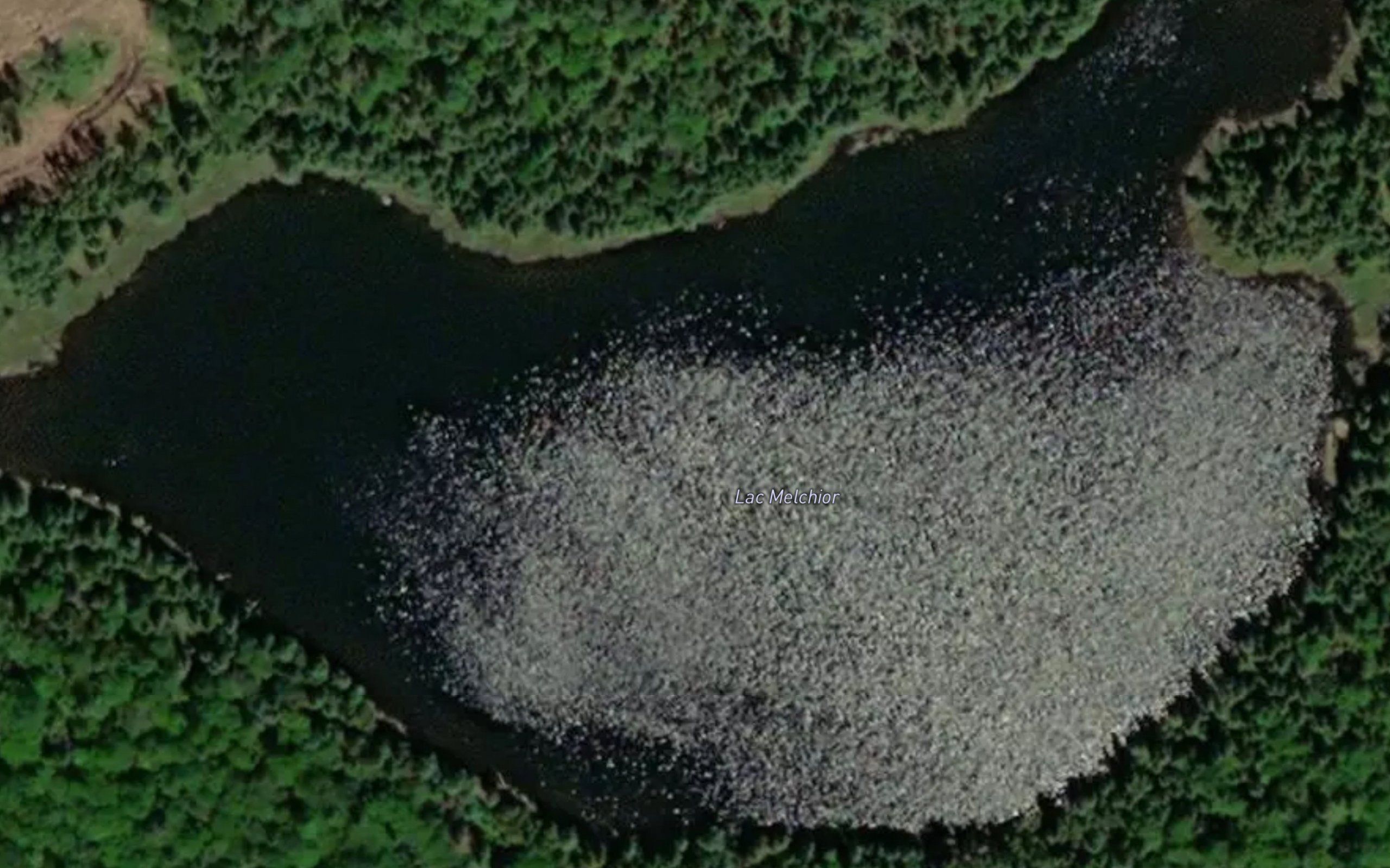 Lac Melchior
