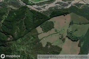 Mangakopikopiko Stream