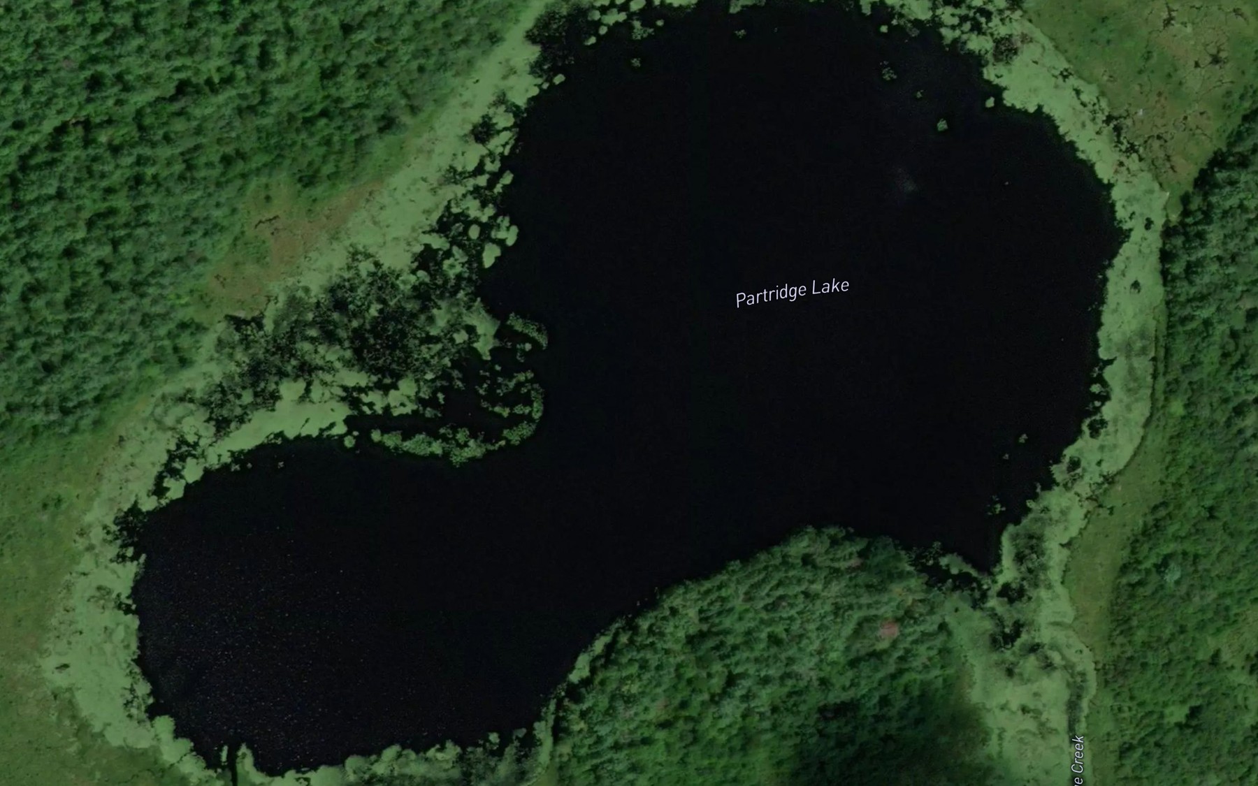 Satellite map of the Partridge Lake