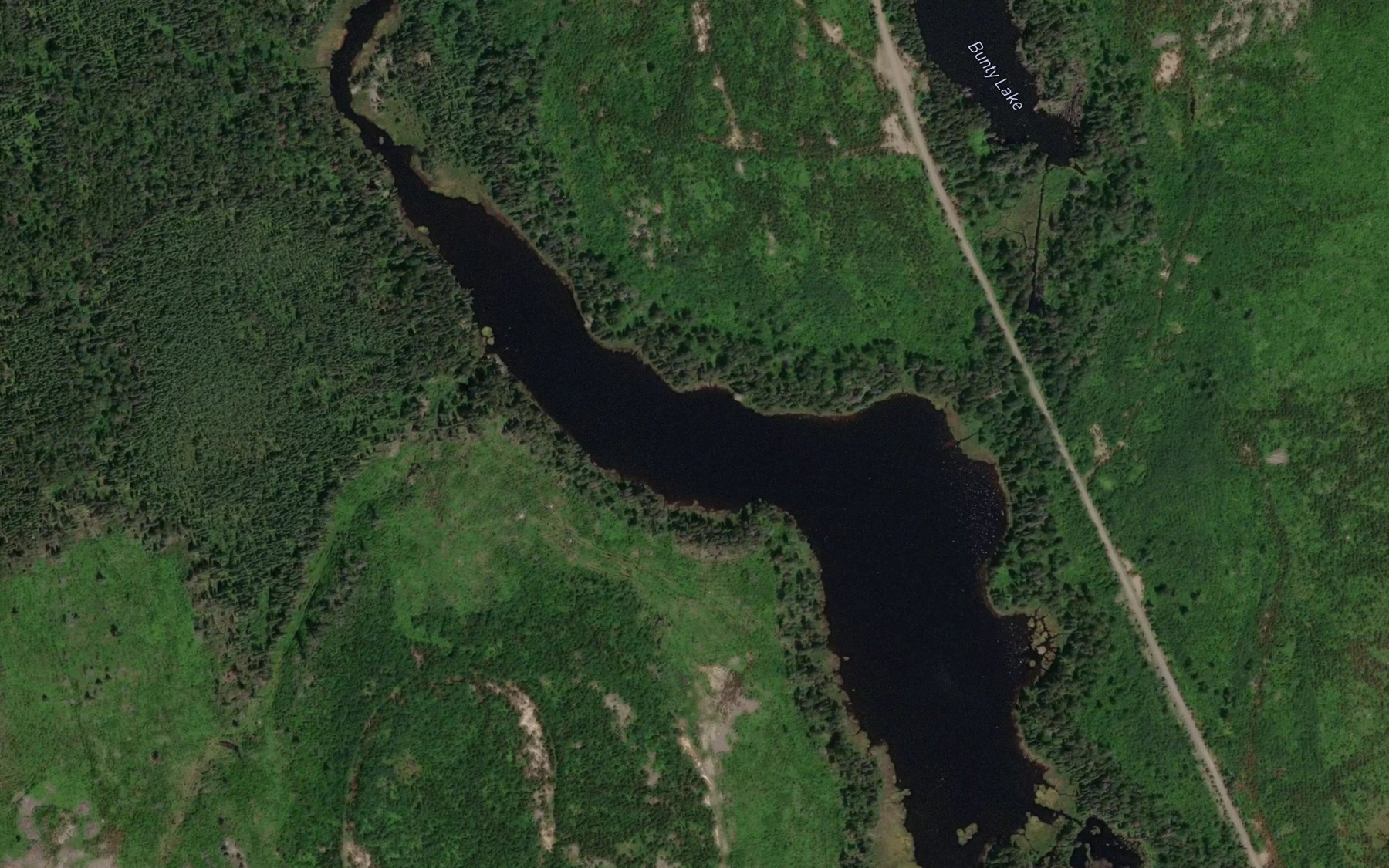 Satellite map of the Squeedunk Lake