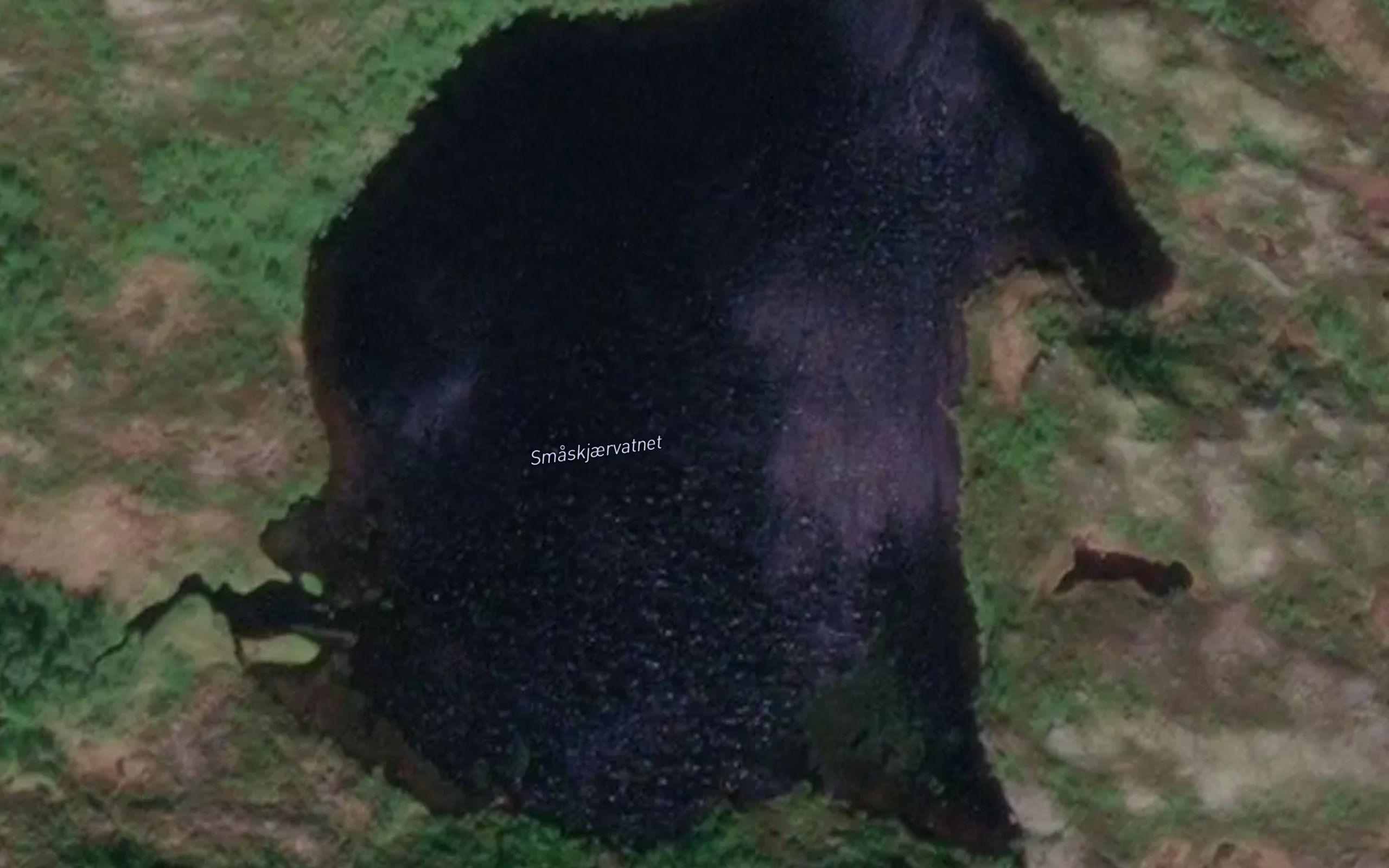 Smaskjertjorna
