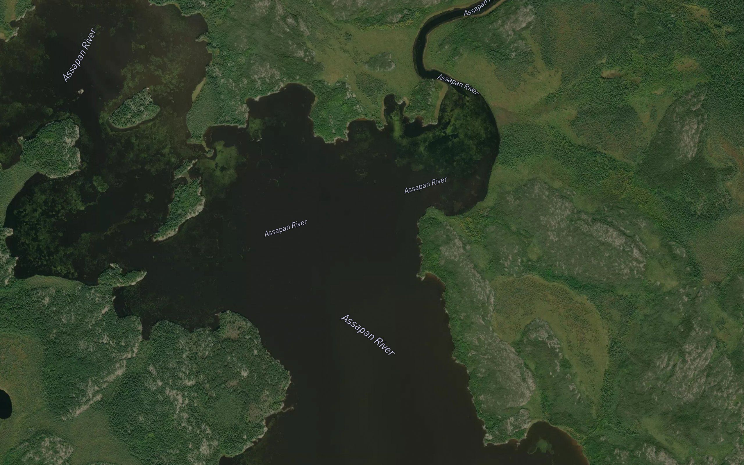Shallow Lake