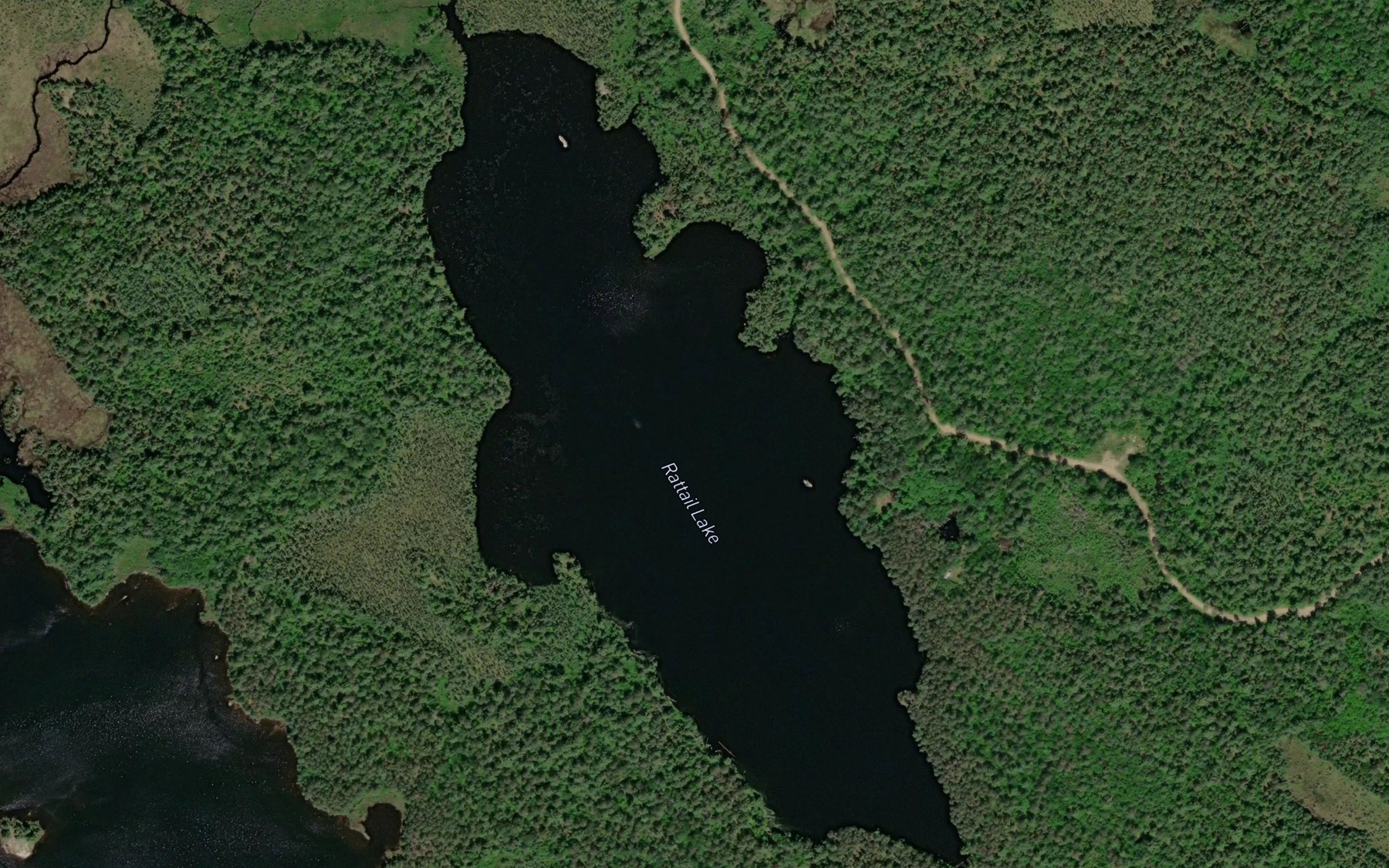 Satellite map of the Rattail Lake
