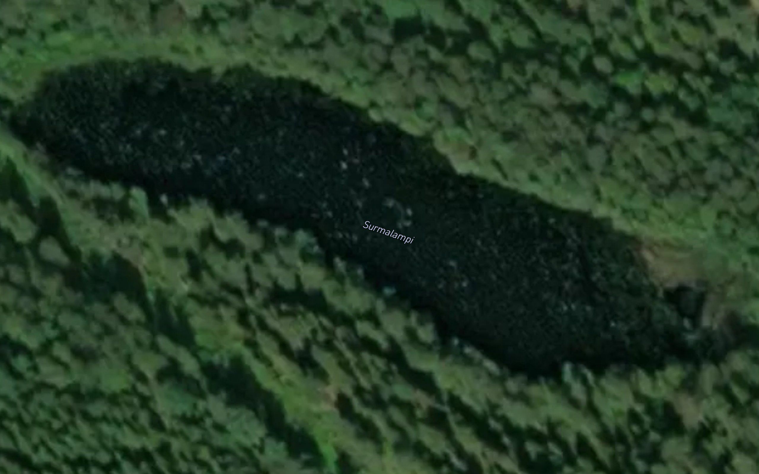 Surmalampi